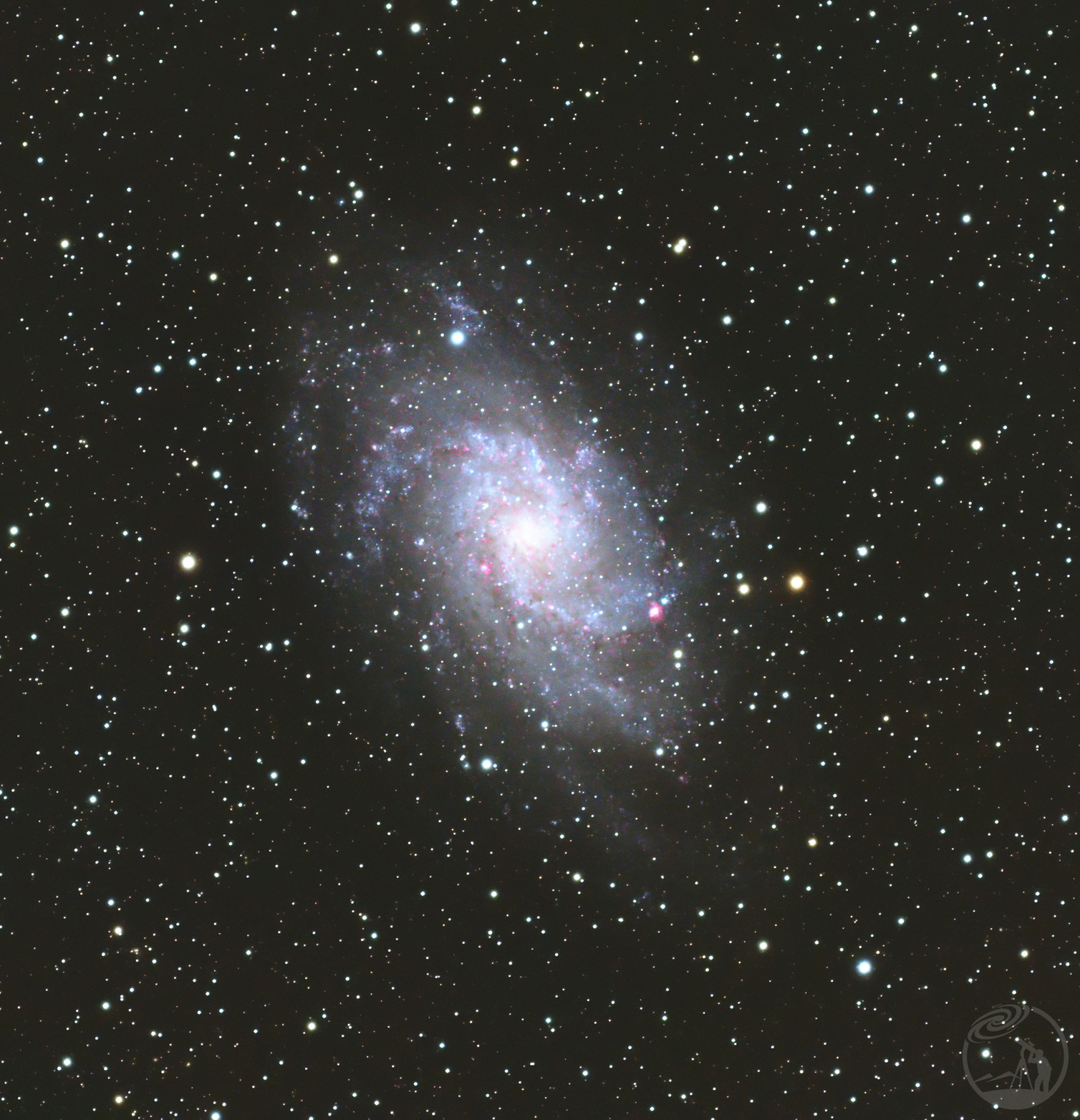 M33