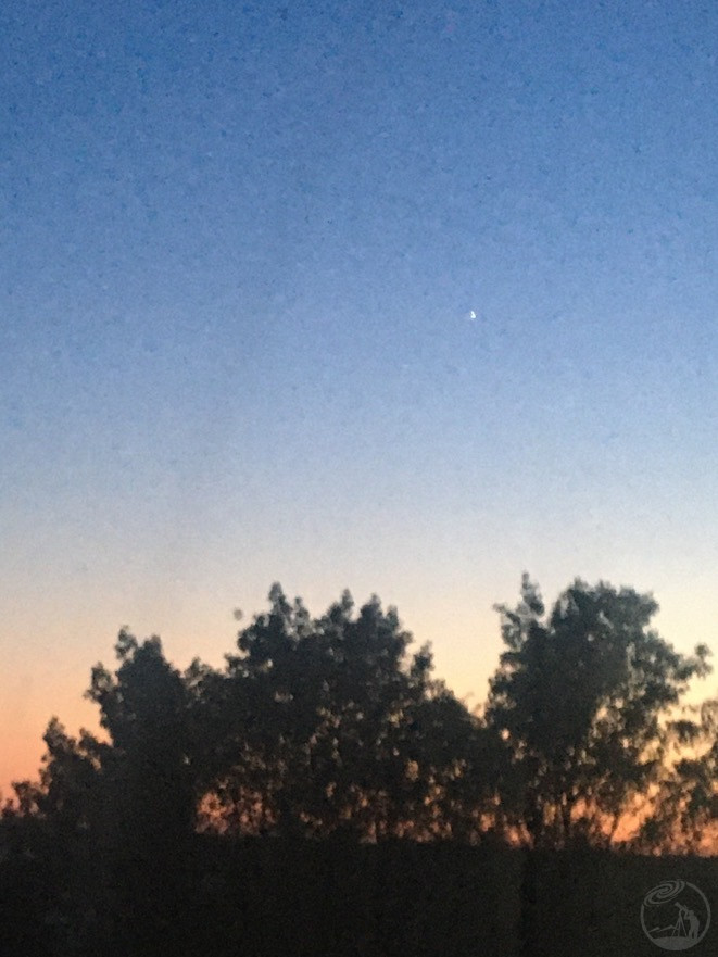 金星^_^