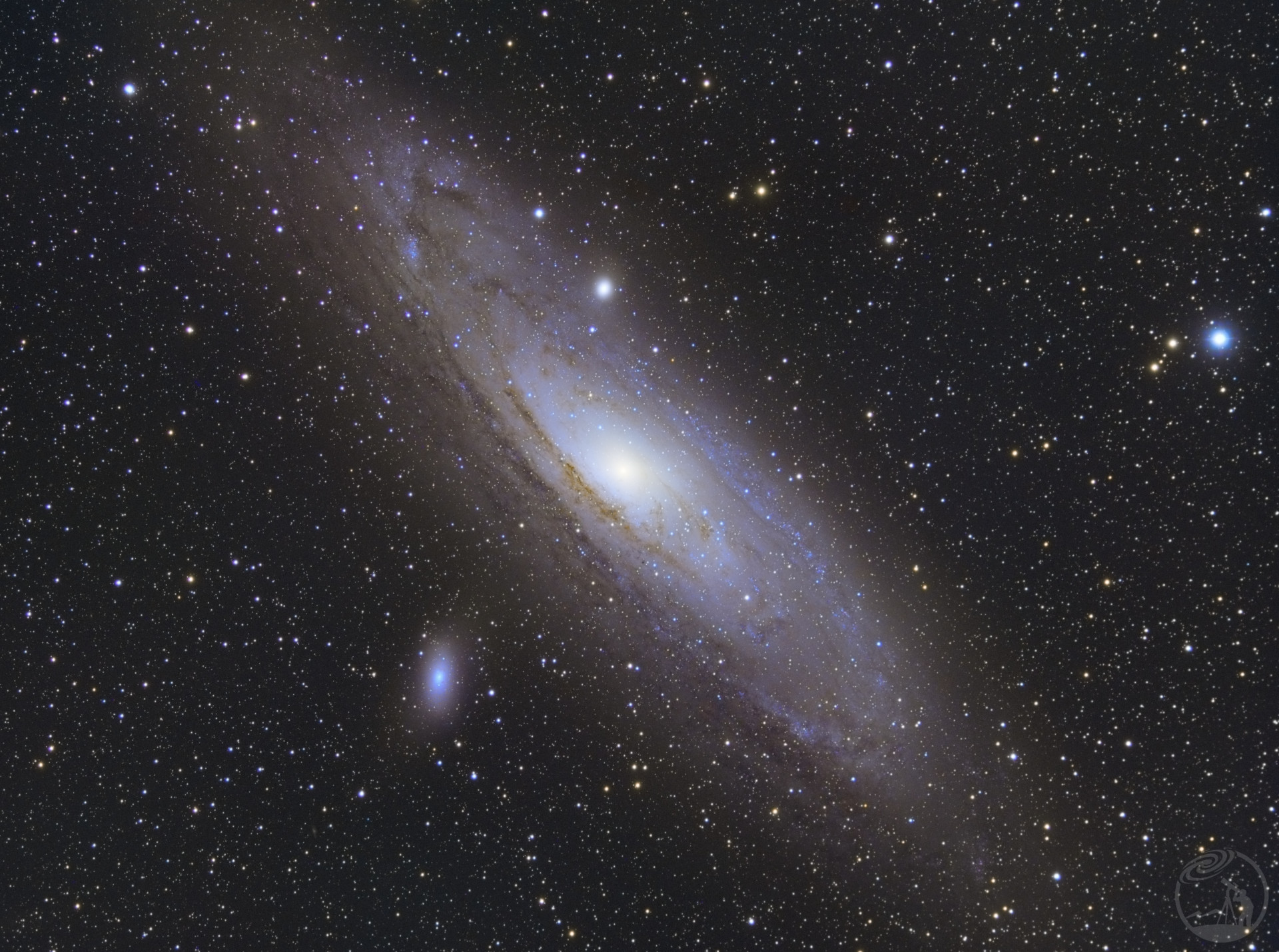 M31