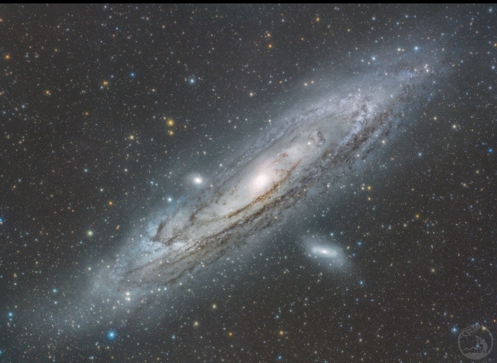 M31