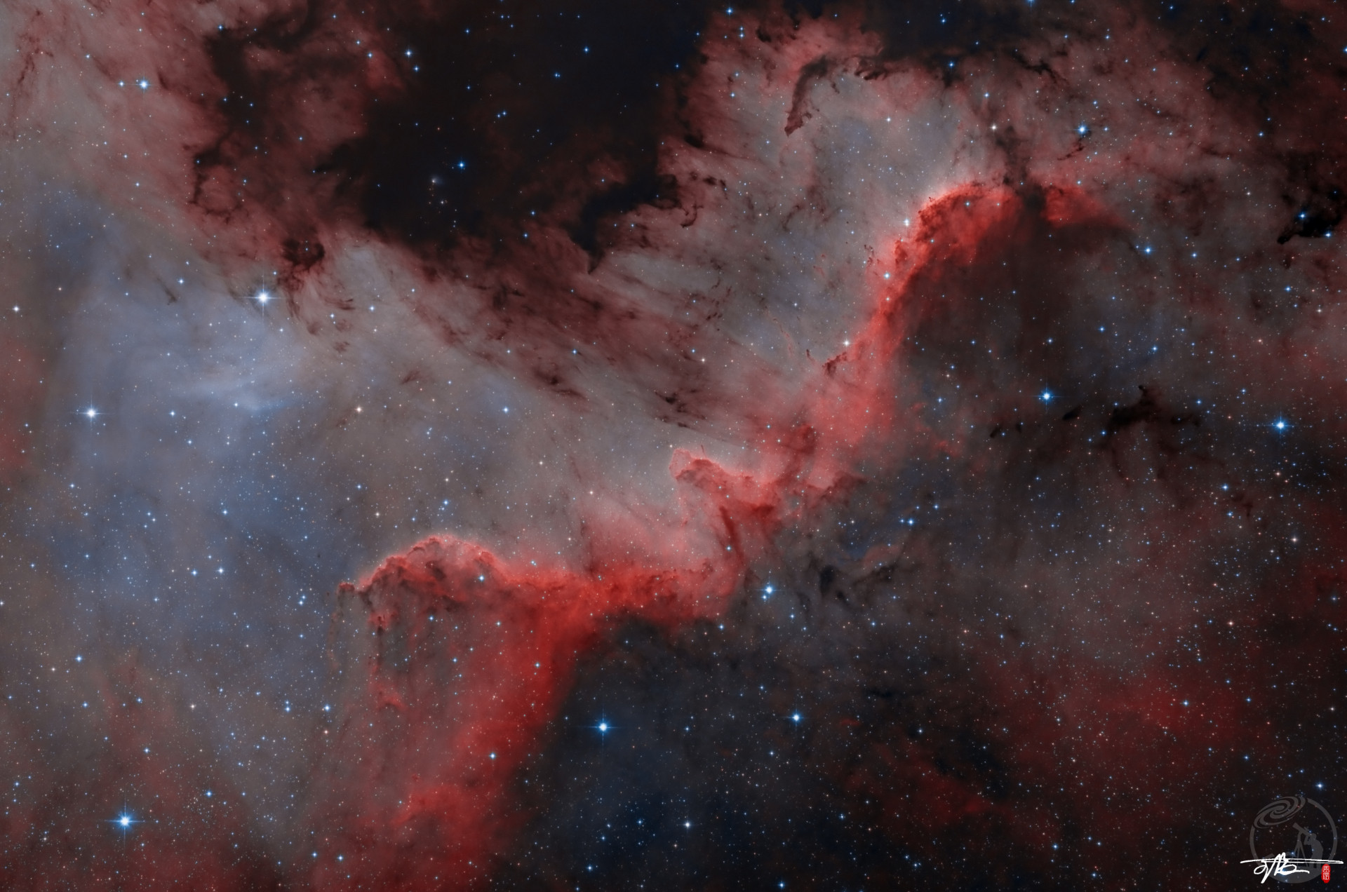 NGC7000