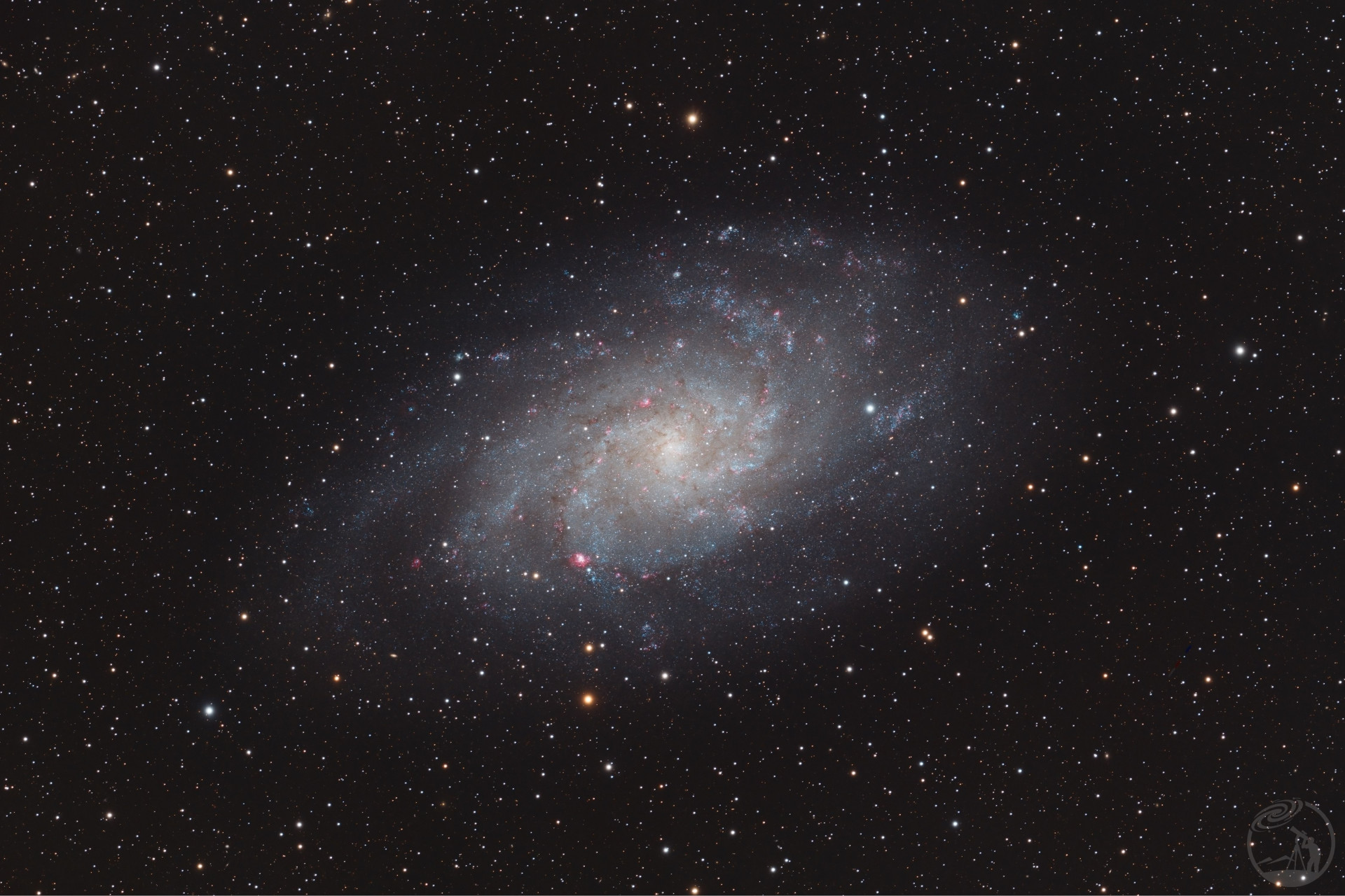 M33