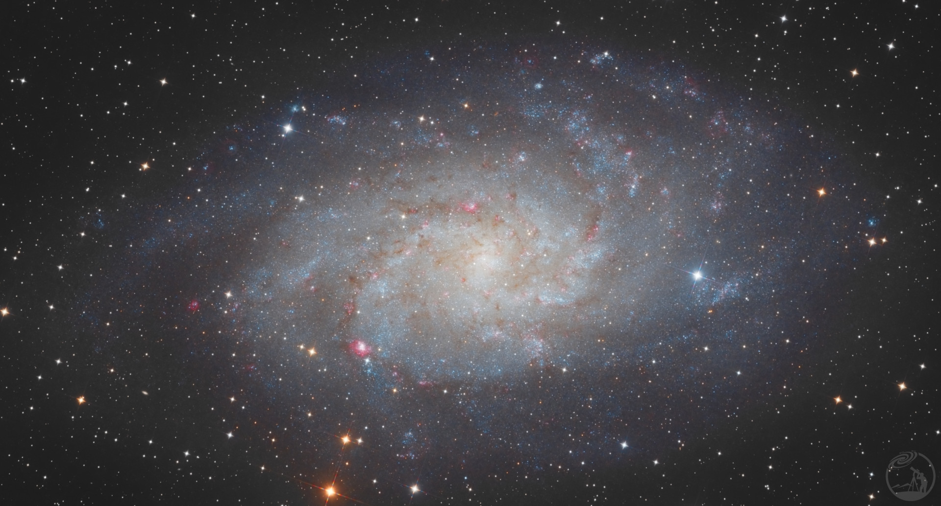 M33