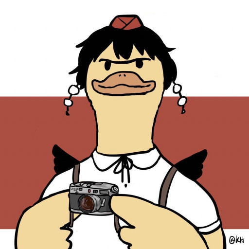 鸭哥