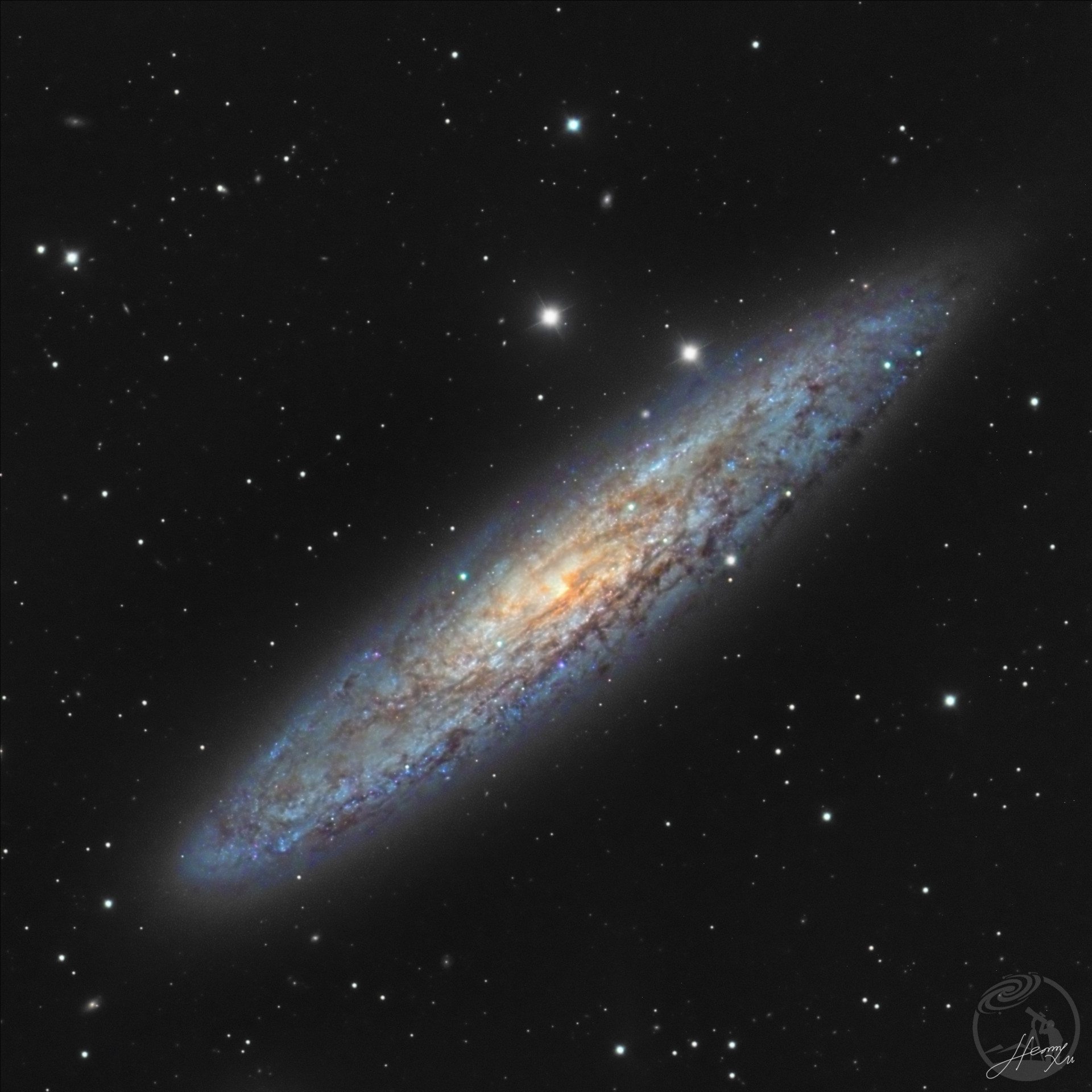 宇宙中的银币NGC253