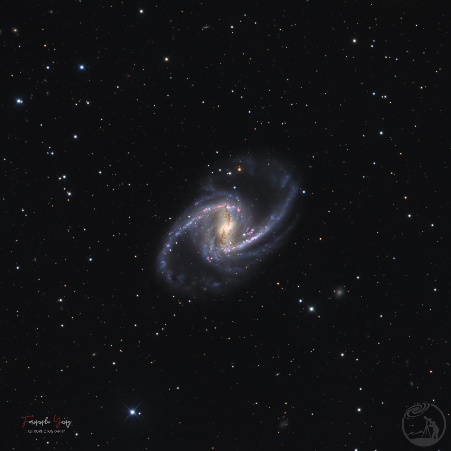 NGC 1365 大棒旋星系