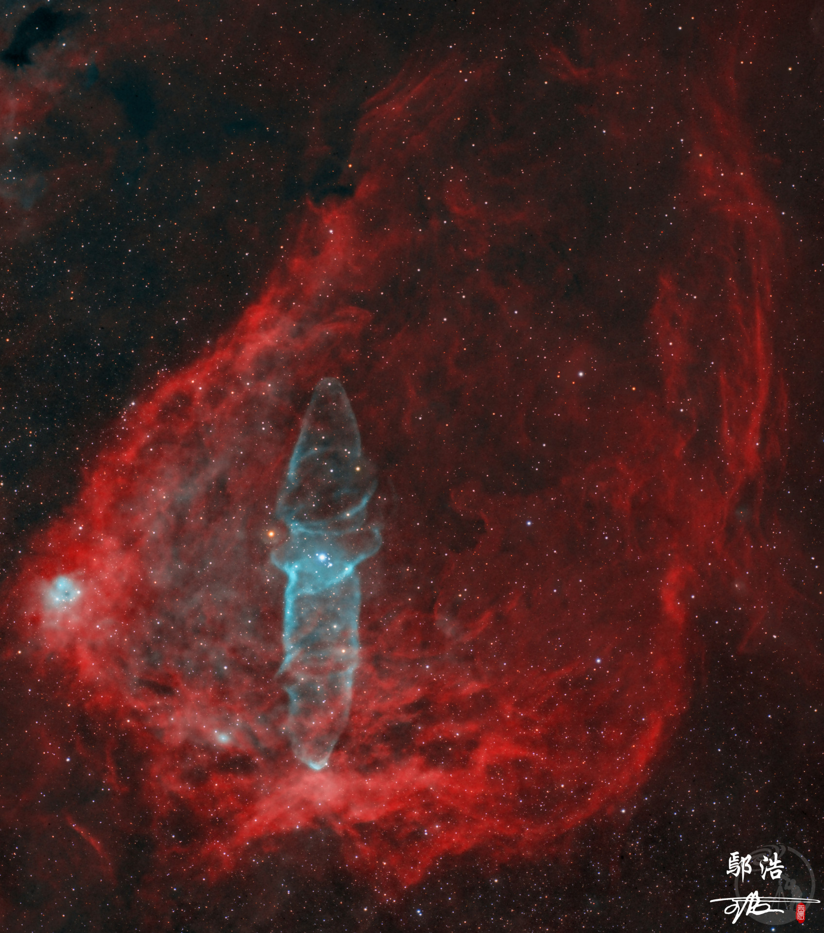 乌贼星云