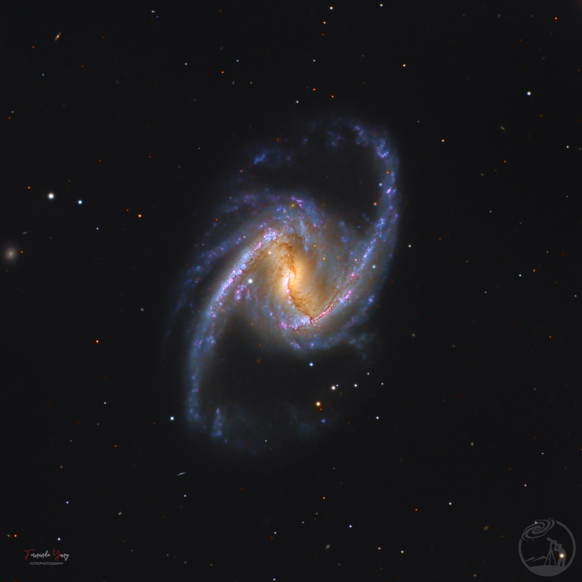 NGC 1365 大棒旋星系