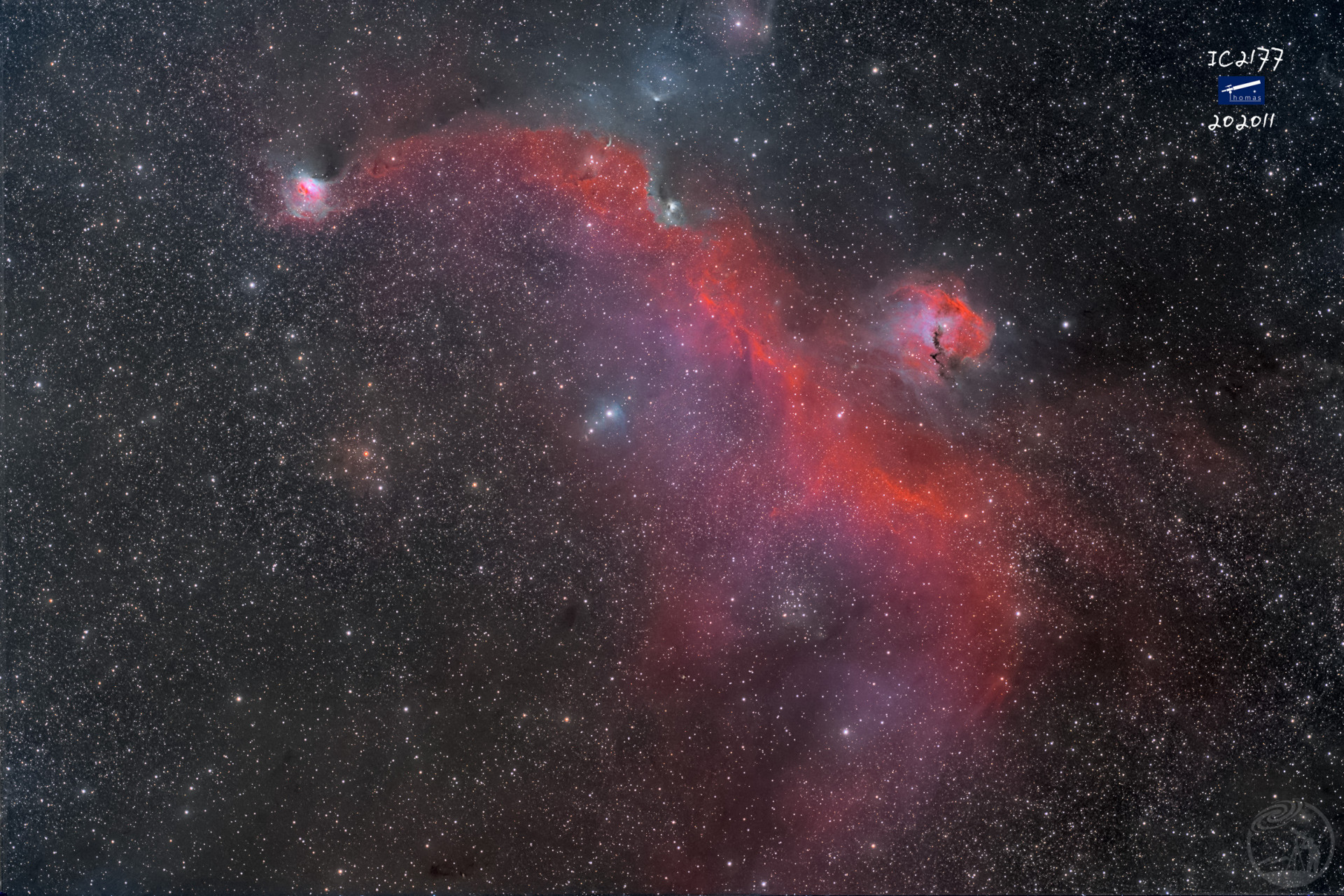 IC2177海鸥星云