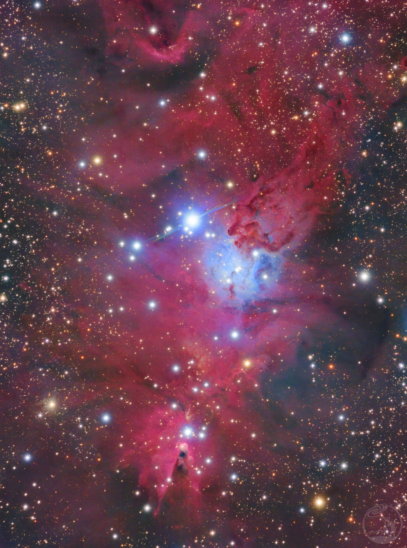 NGC2264