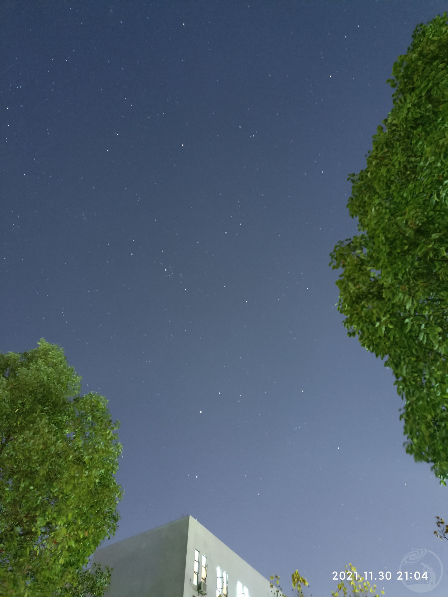 后院星空