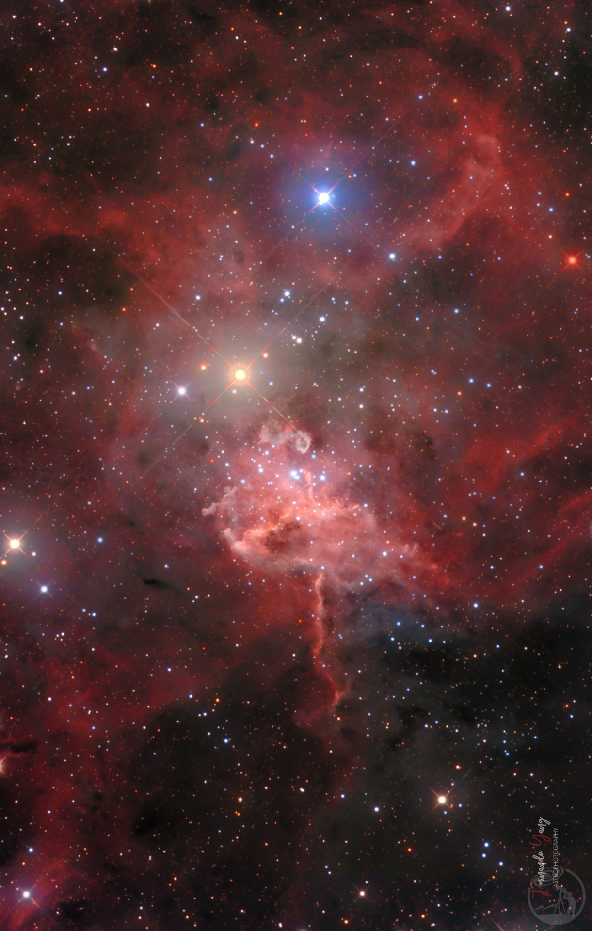 IC 417 蜘蛛星云