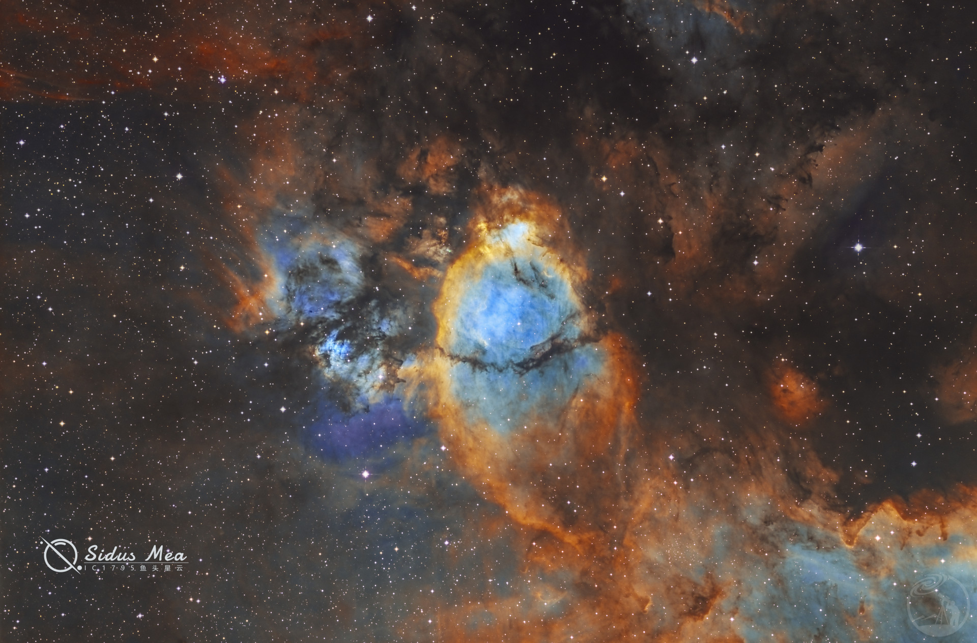 IC1795鱼头星云