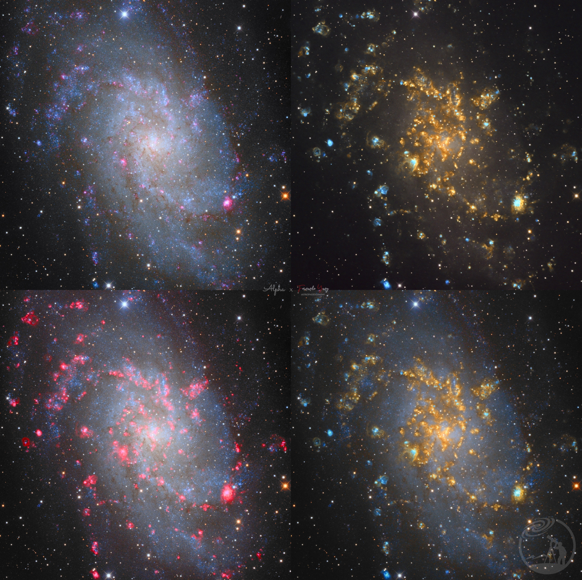 M33 三角座星系的四副面容