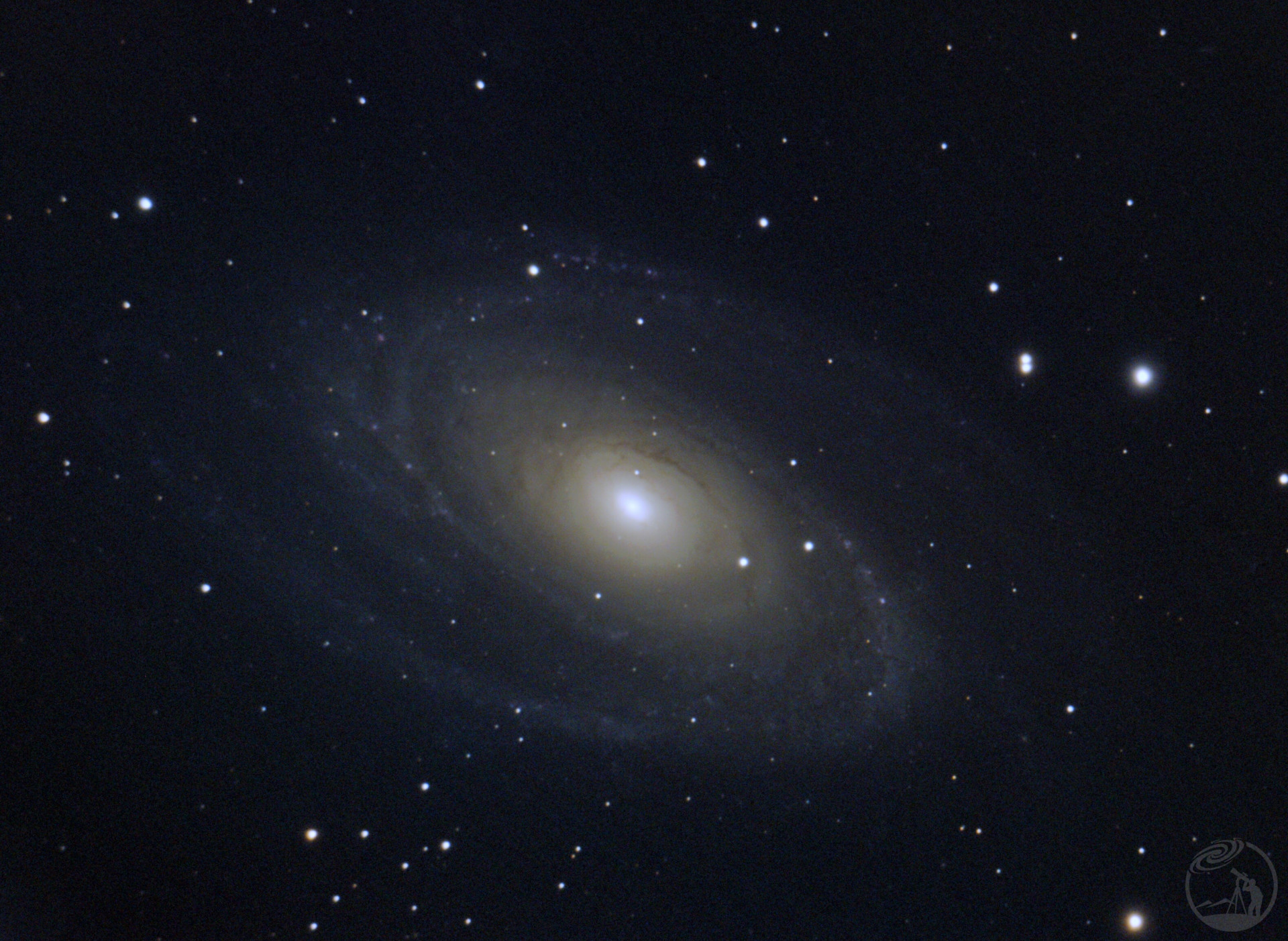 M81