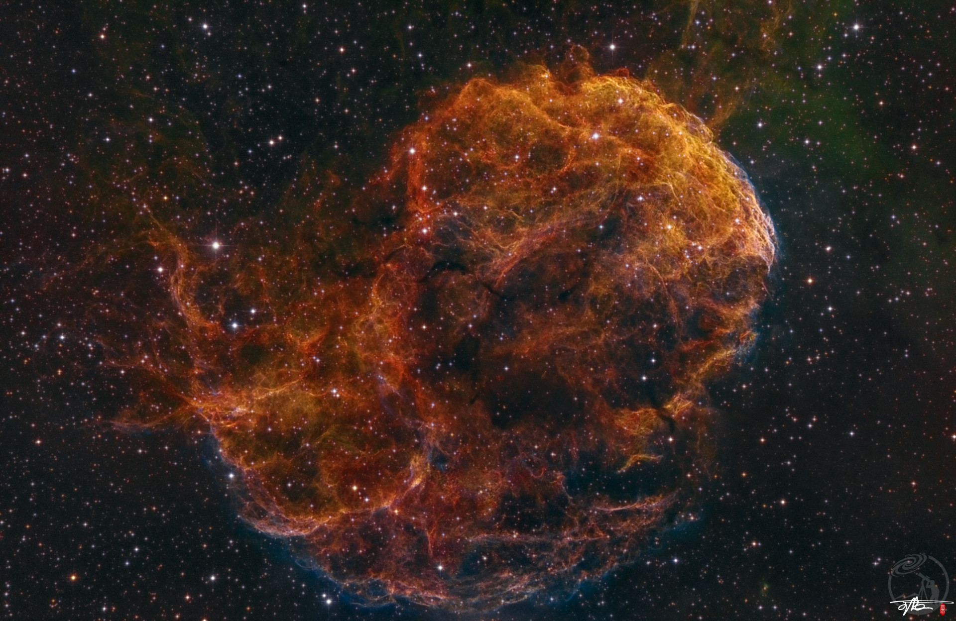 IC443水母