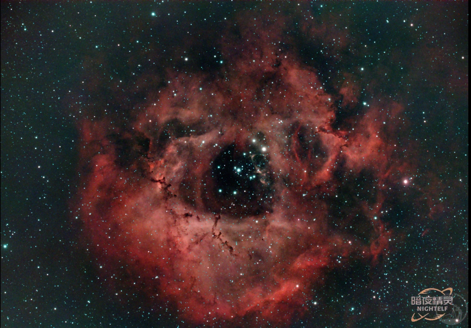 入坑第一张玫瑰