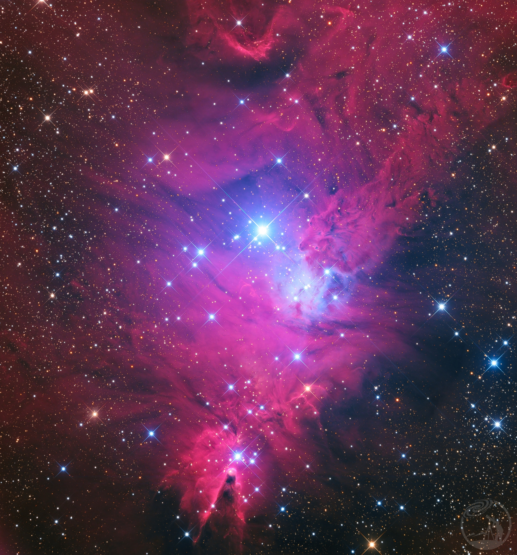 NGC2264圣诞树全貌