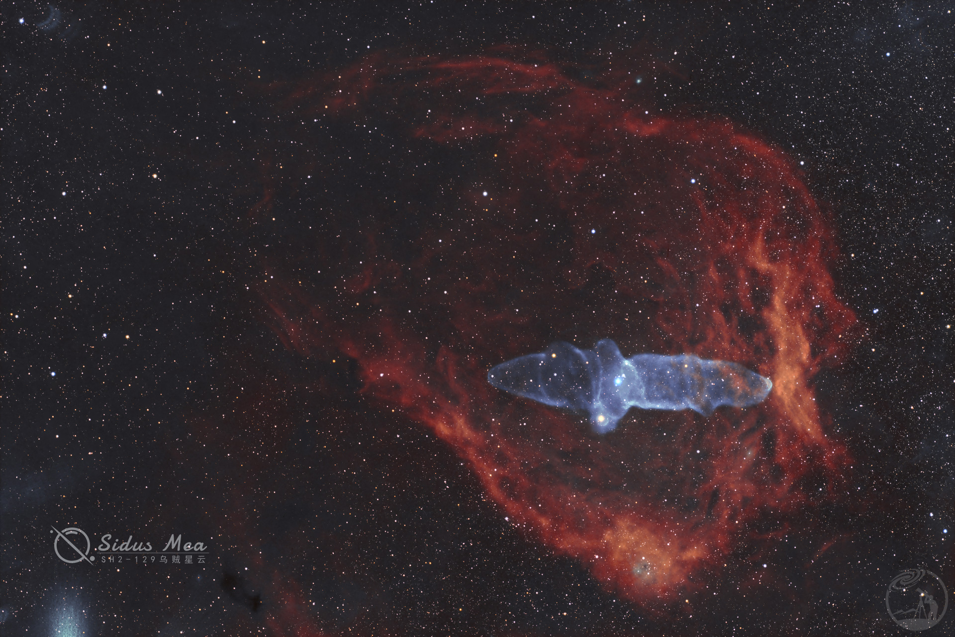 乌贼星云