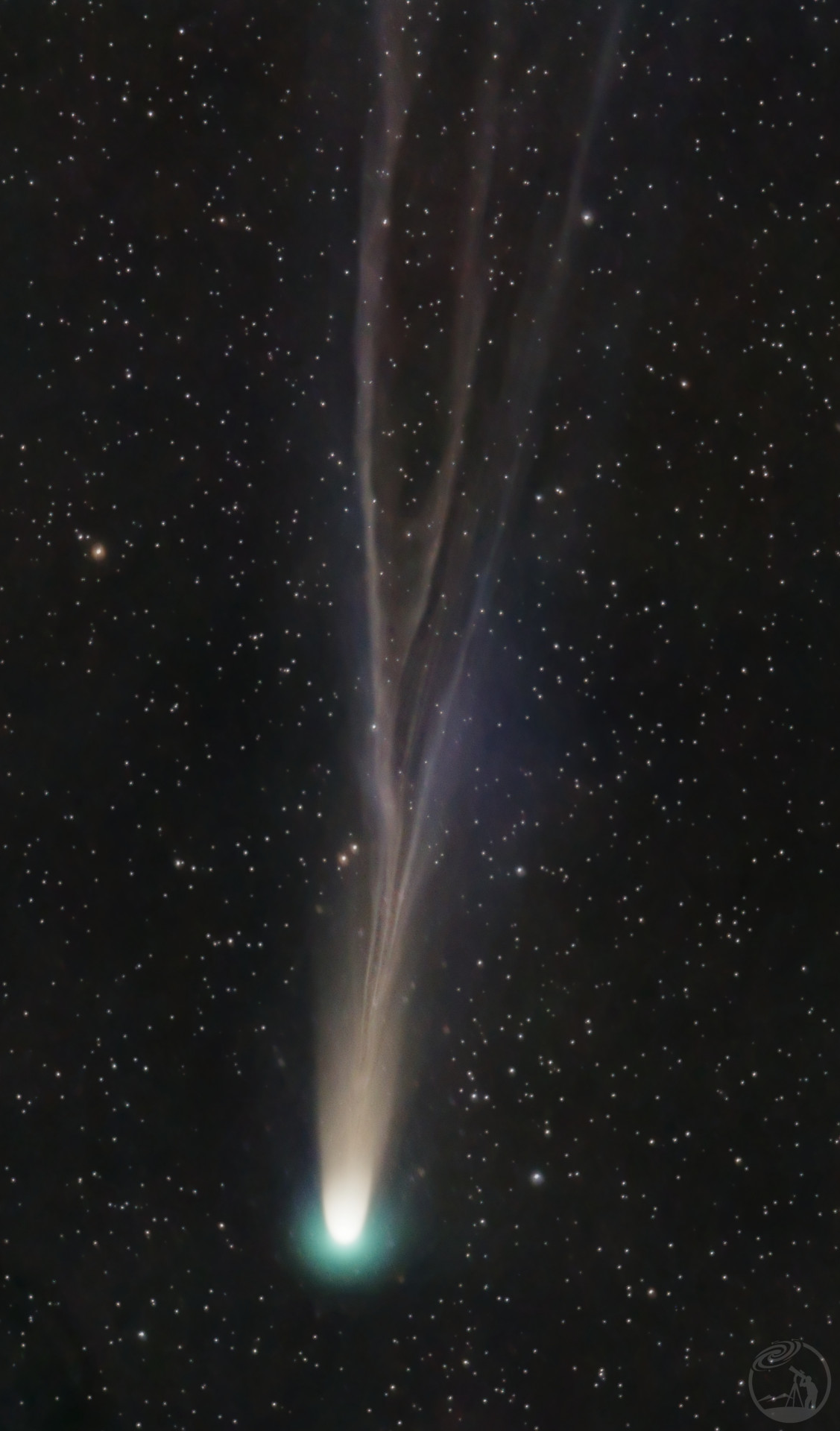 摇曳尾巴的A1彗星