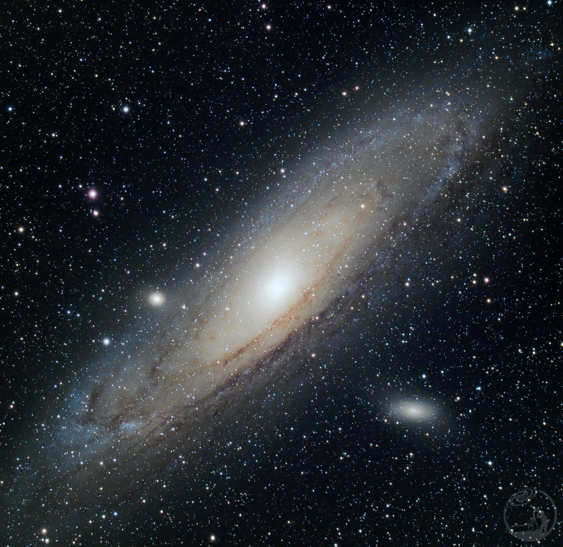 M31