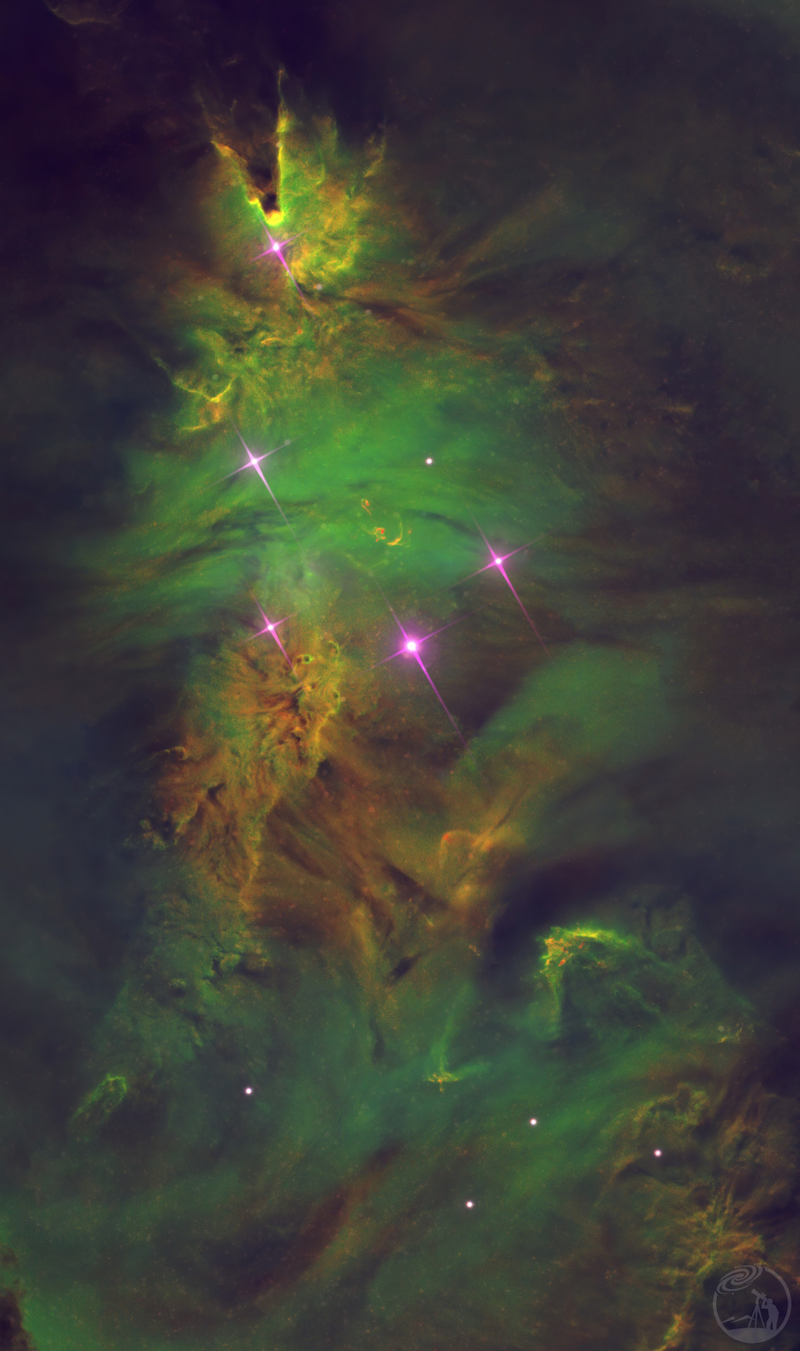 圣诞树NGC2264