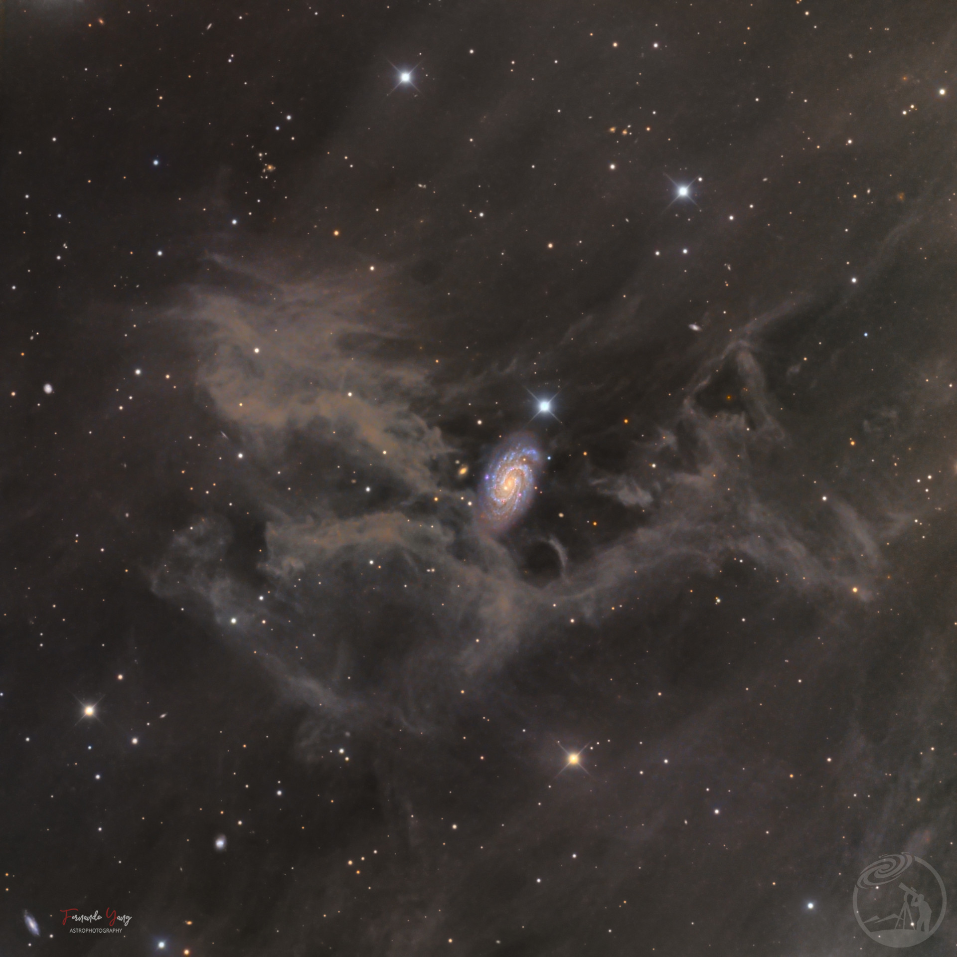 NGC 918