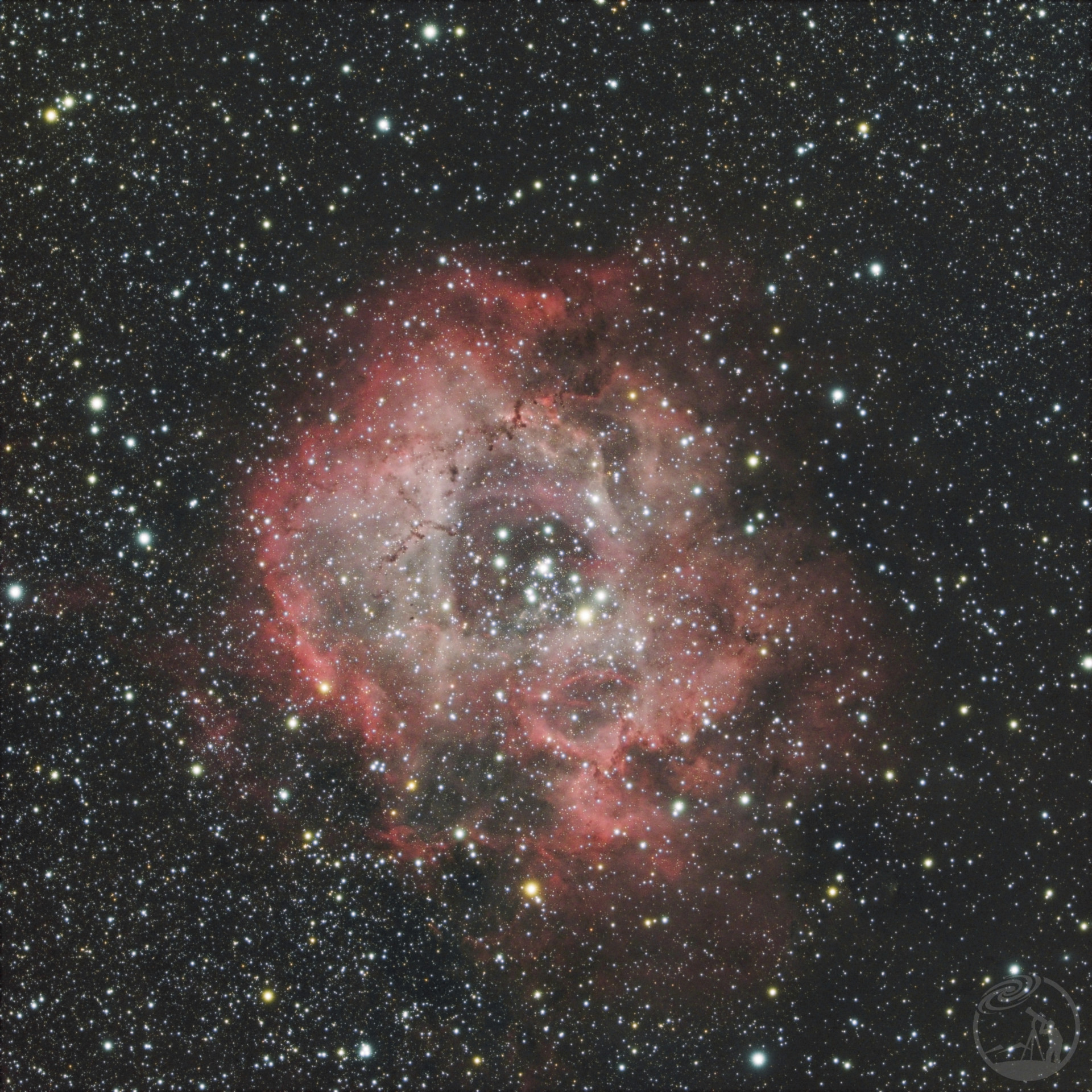 玫瑰星云