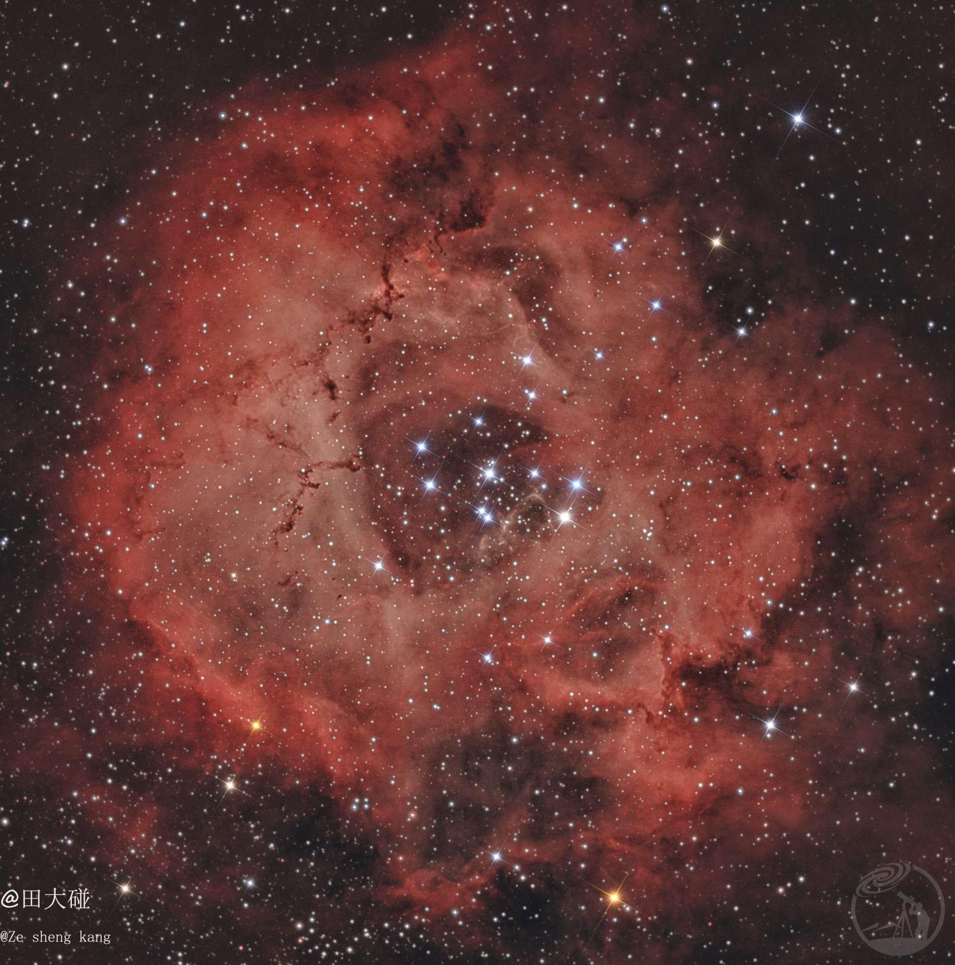 宇宙爱情花，NGC2237