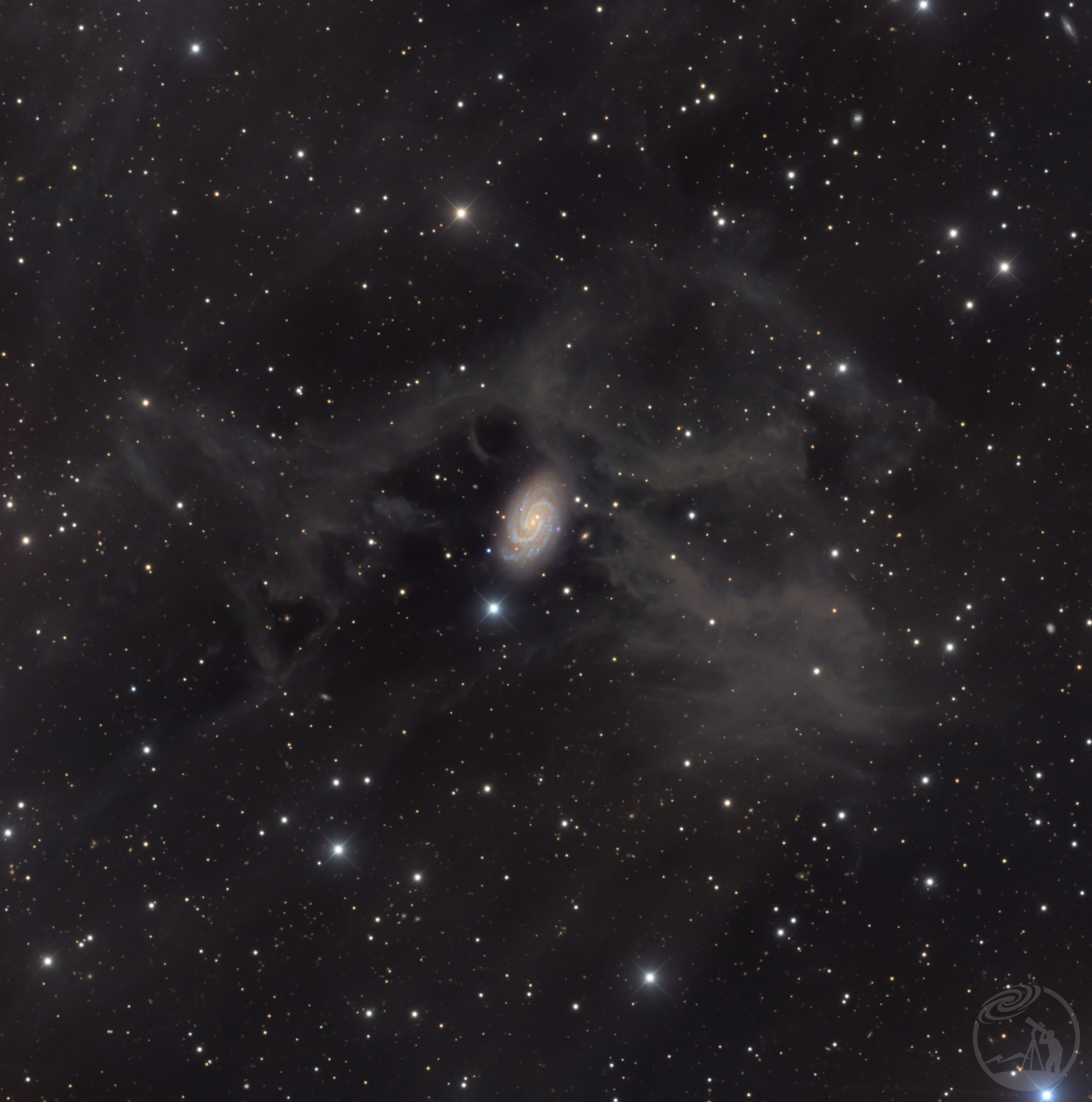 NGC 918