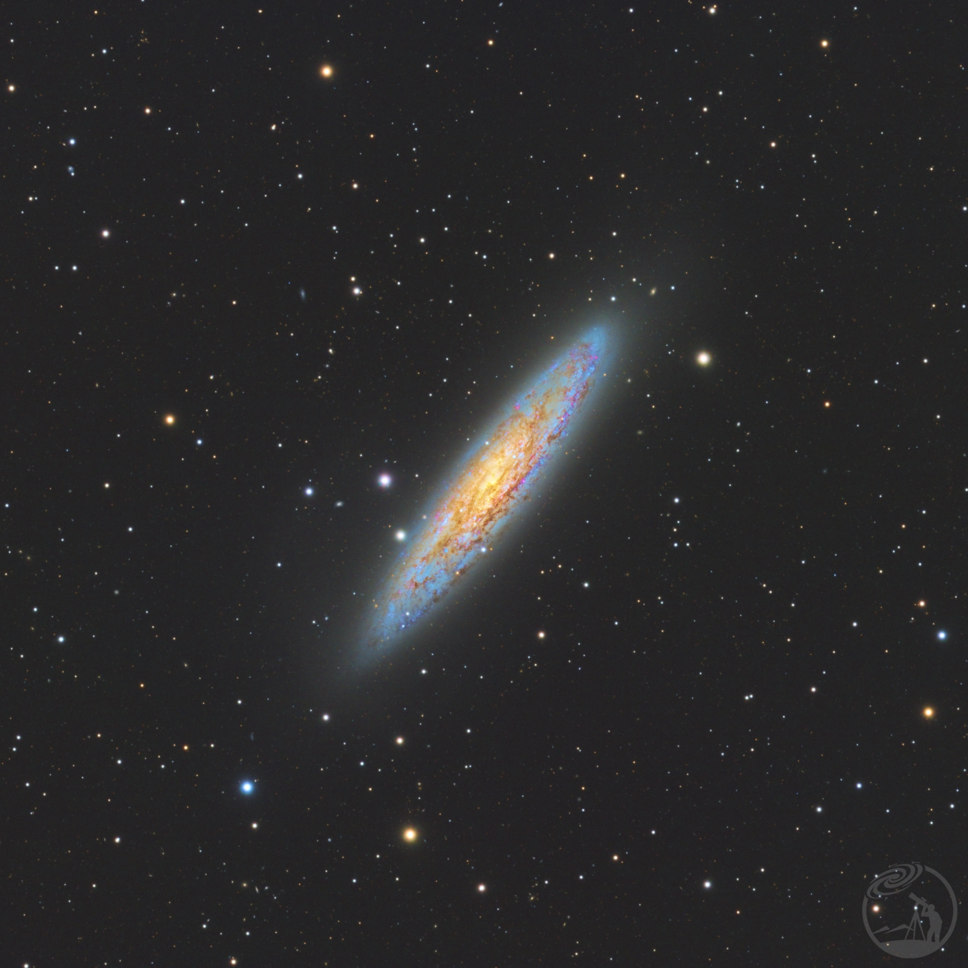 NGC253