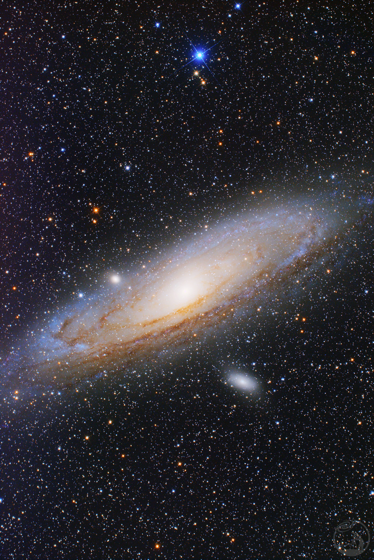 M31