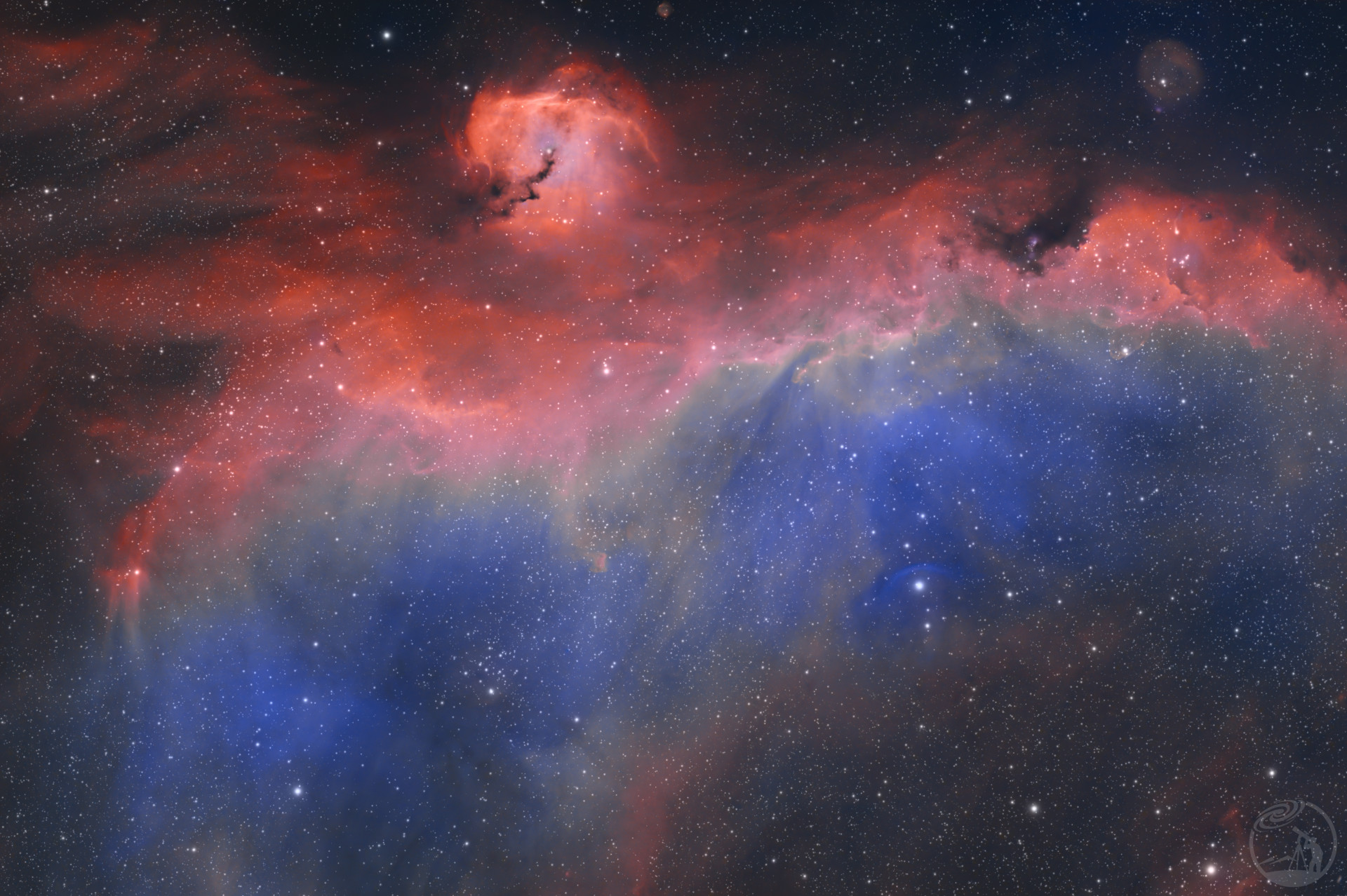 ic2177-自古红蓝出CP