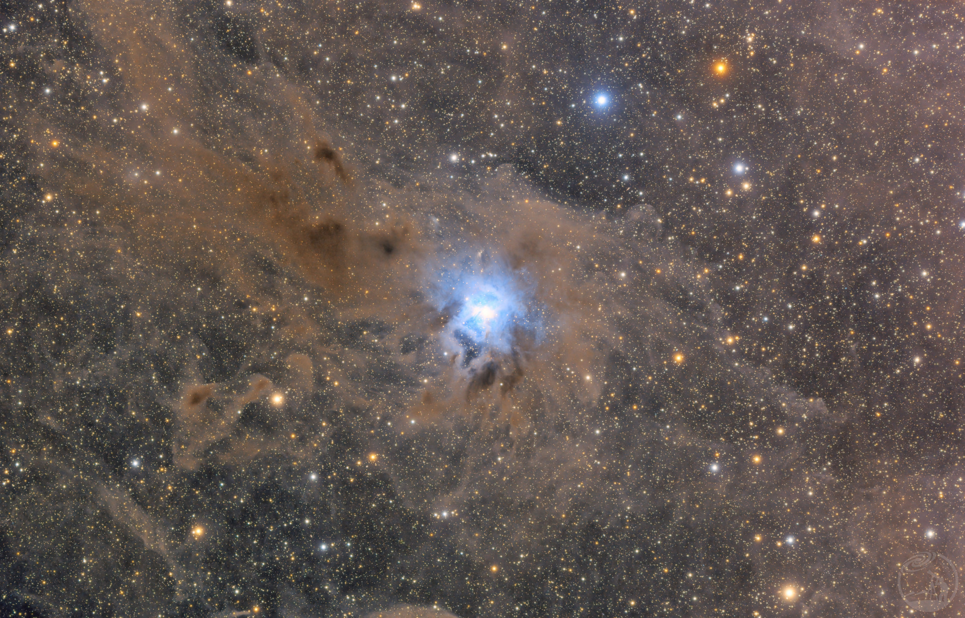 鸢尾花⚜️星云-ngc7023