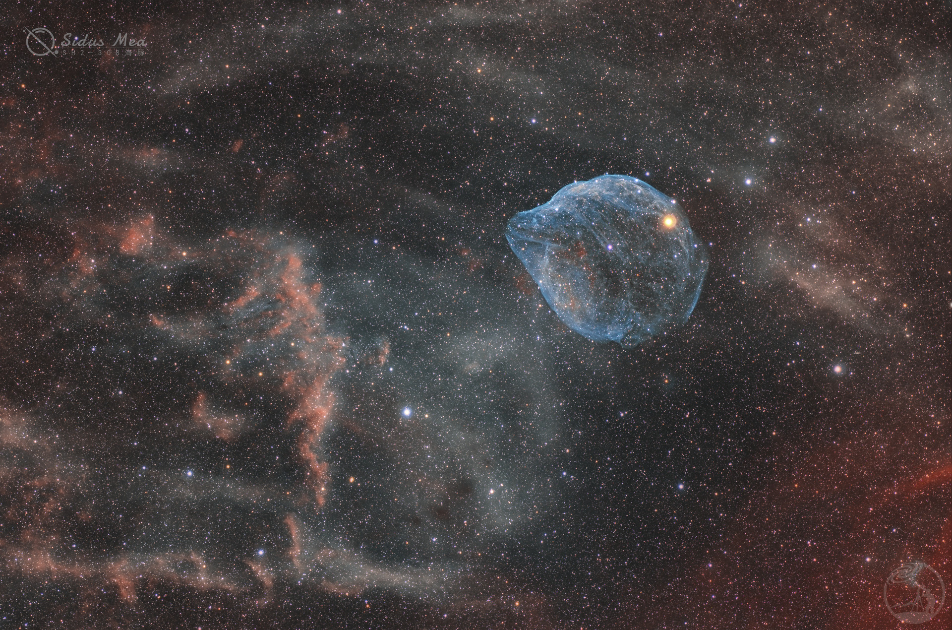 sh2-308海豚星云
