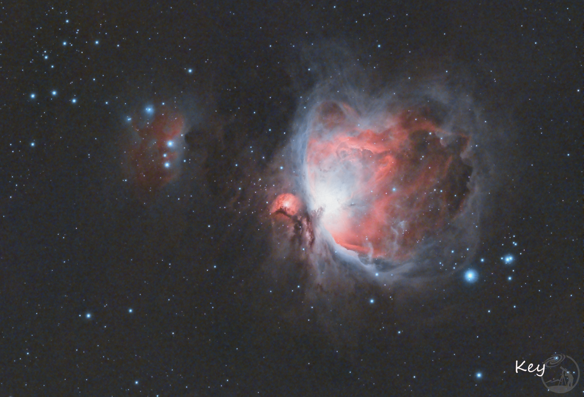 M42火鸟