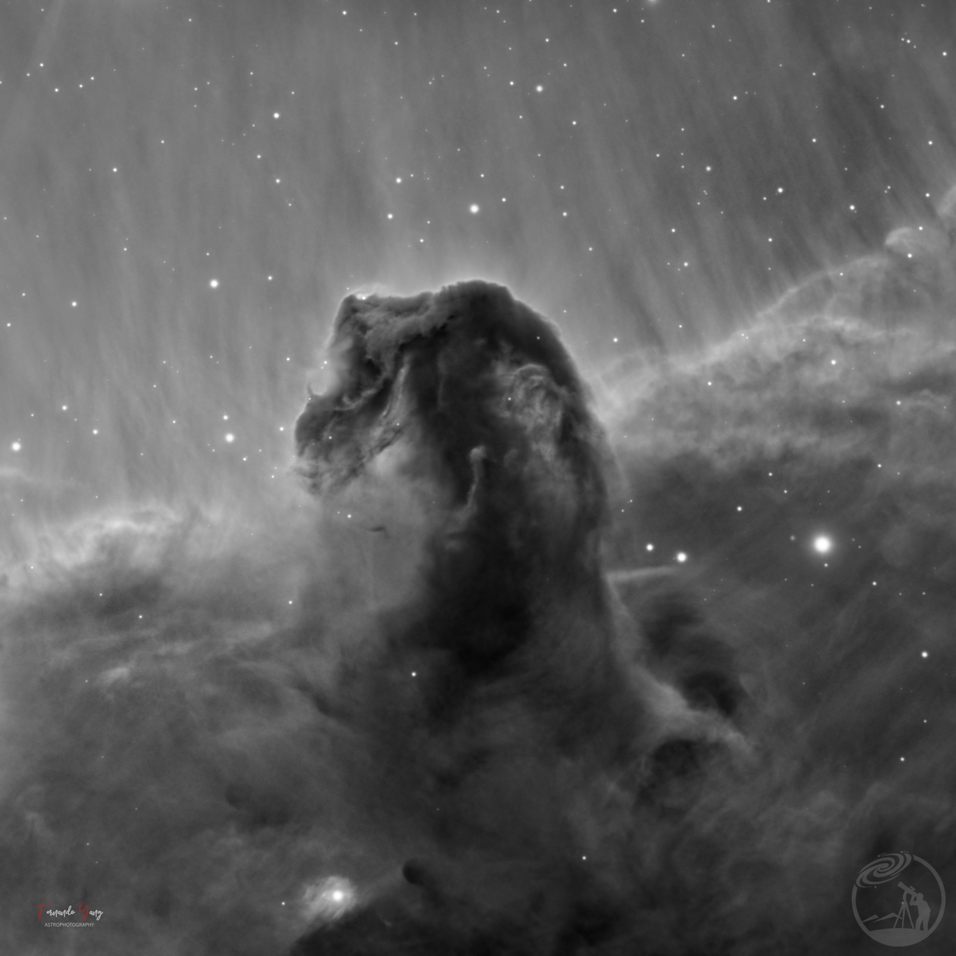 IC 434 马头星云明度纯享版