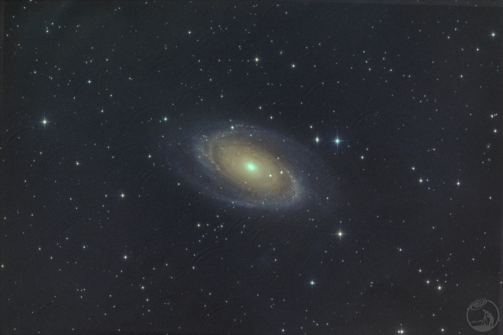 m81