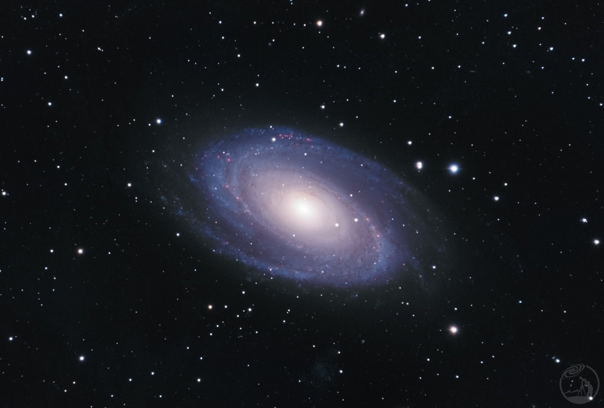 M81