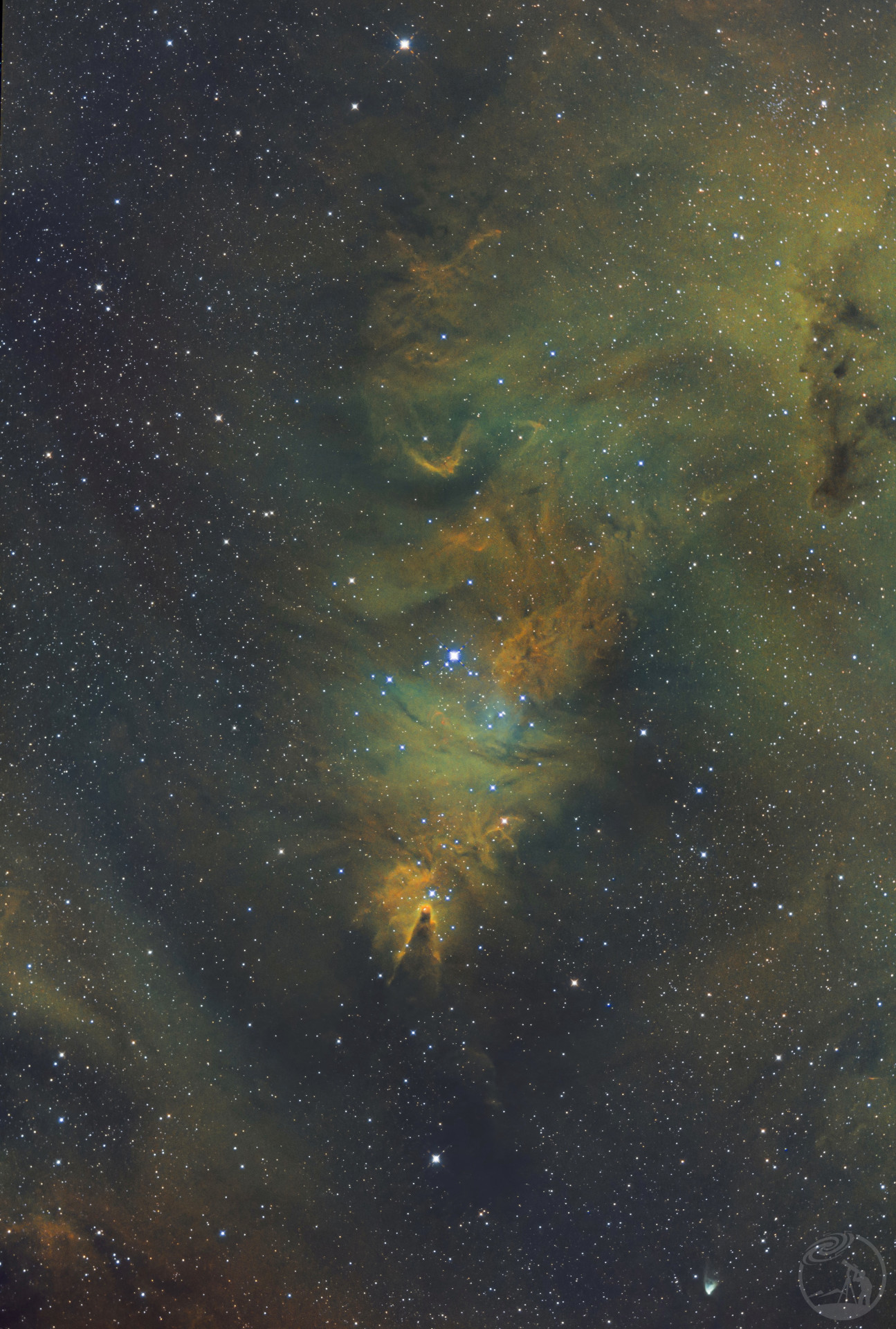 NGC2264圣诞树星云一带