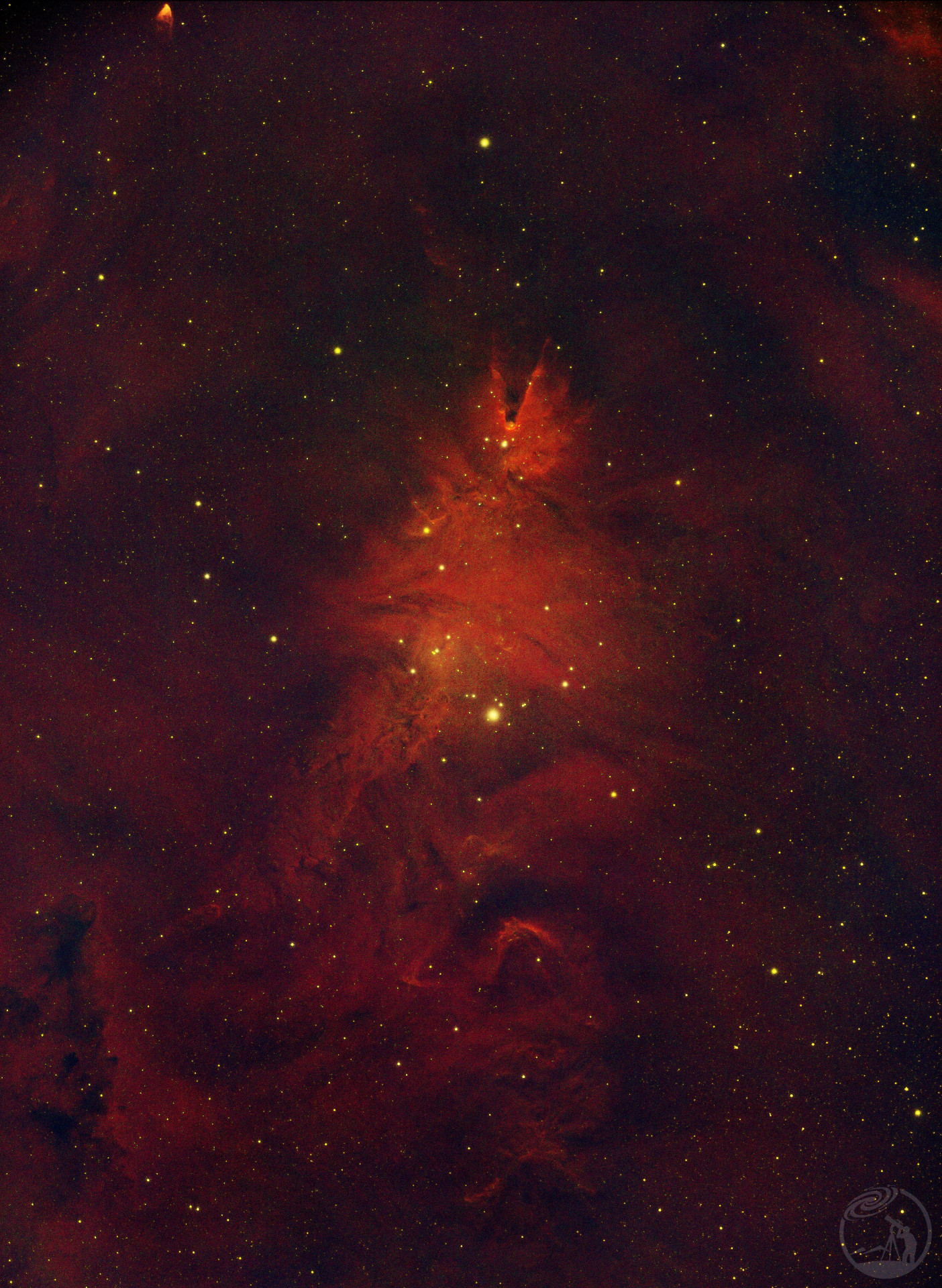 ngc2264