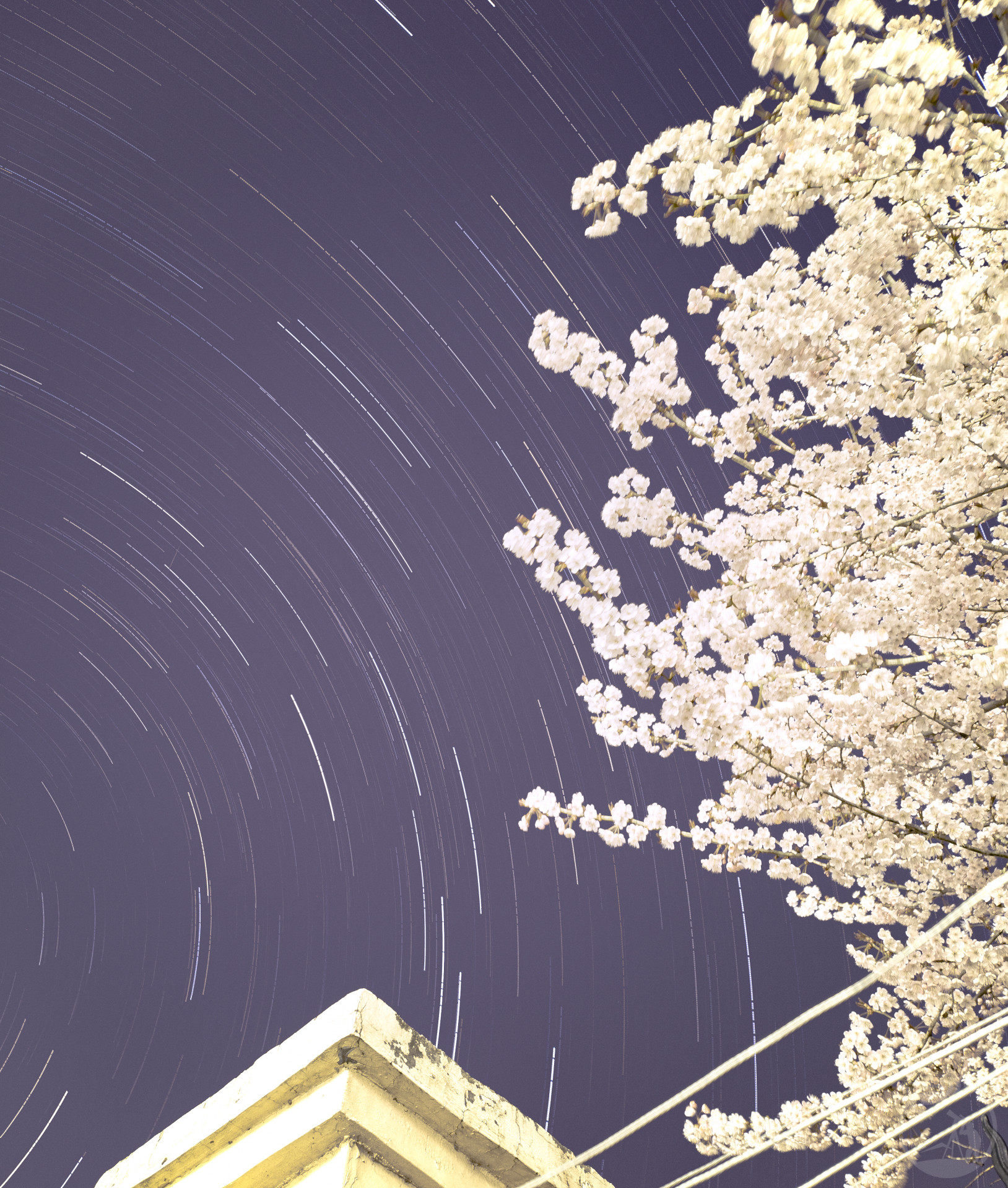 花语星轨