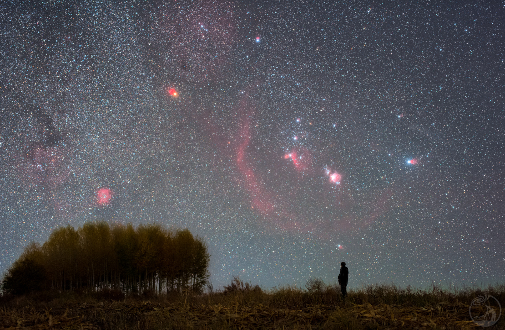 冬季星空之王