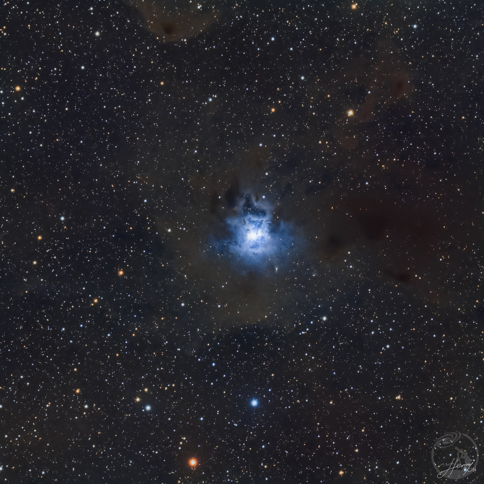 NGC7023宇宙鸢尾花