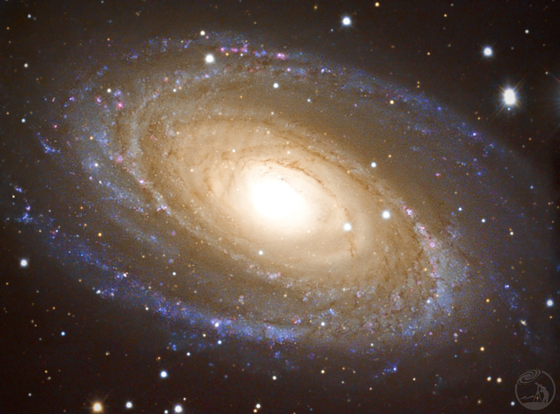 M81