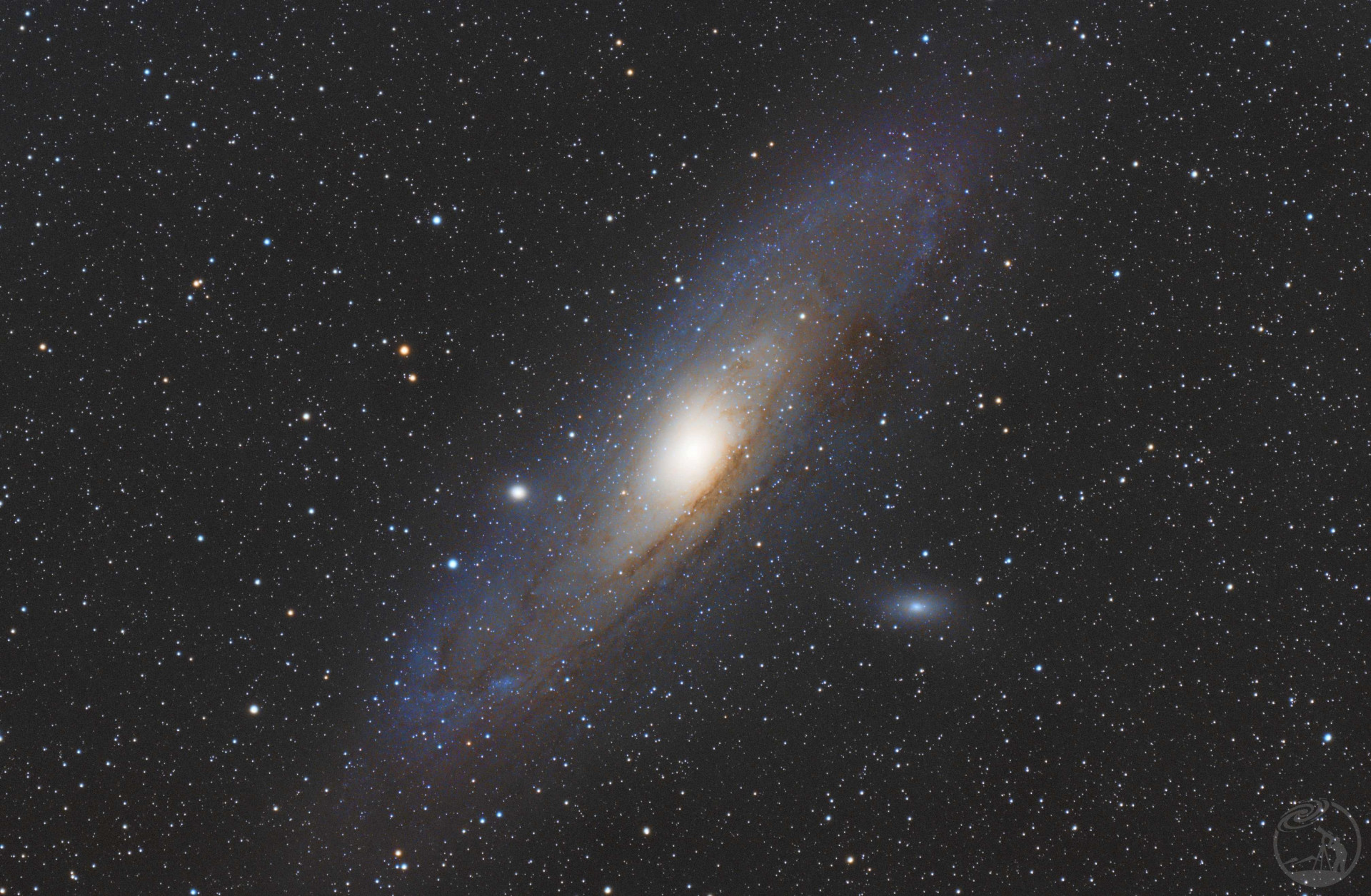 M31