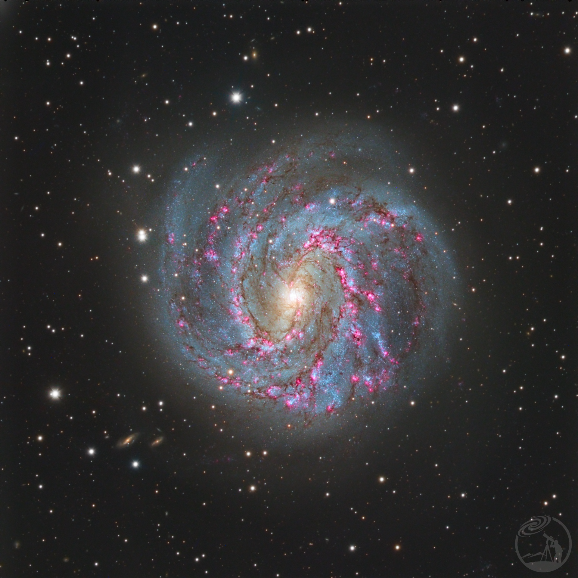 m83楠♂风车