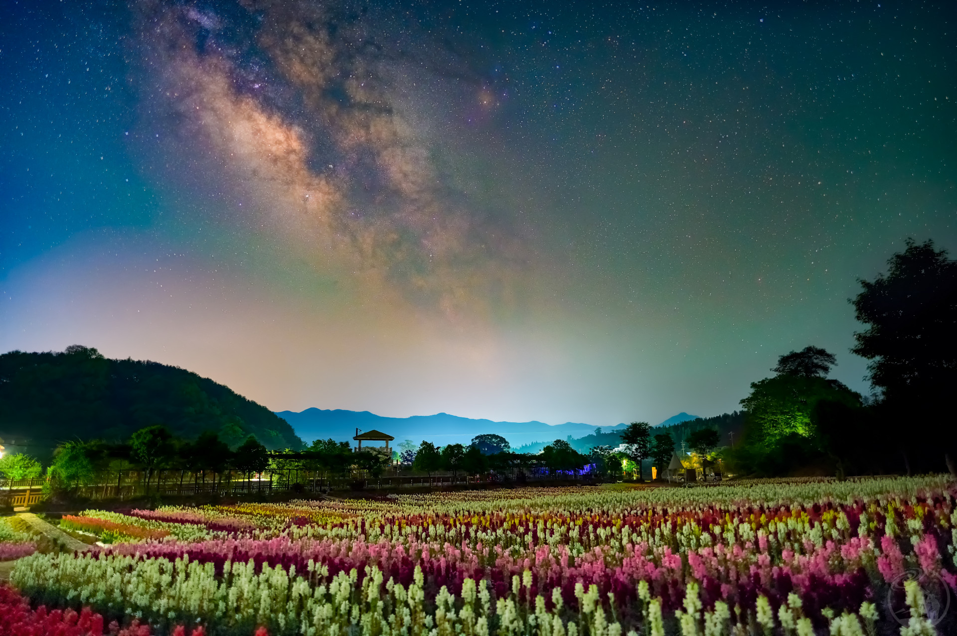 俞邦星夜