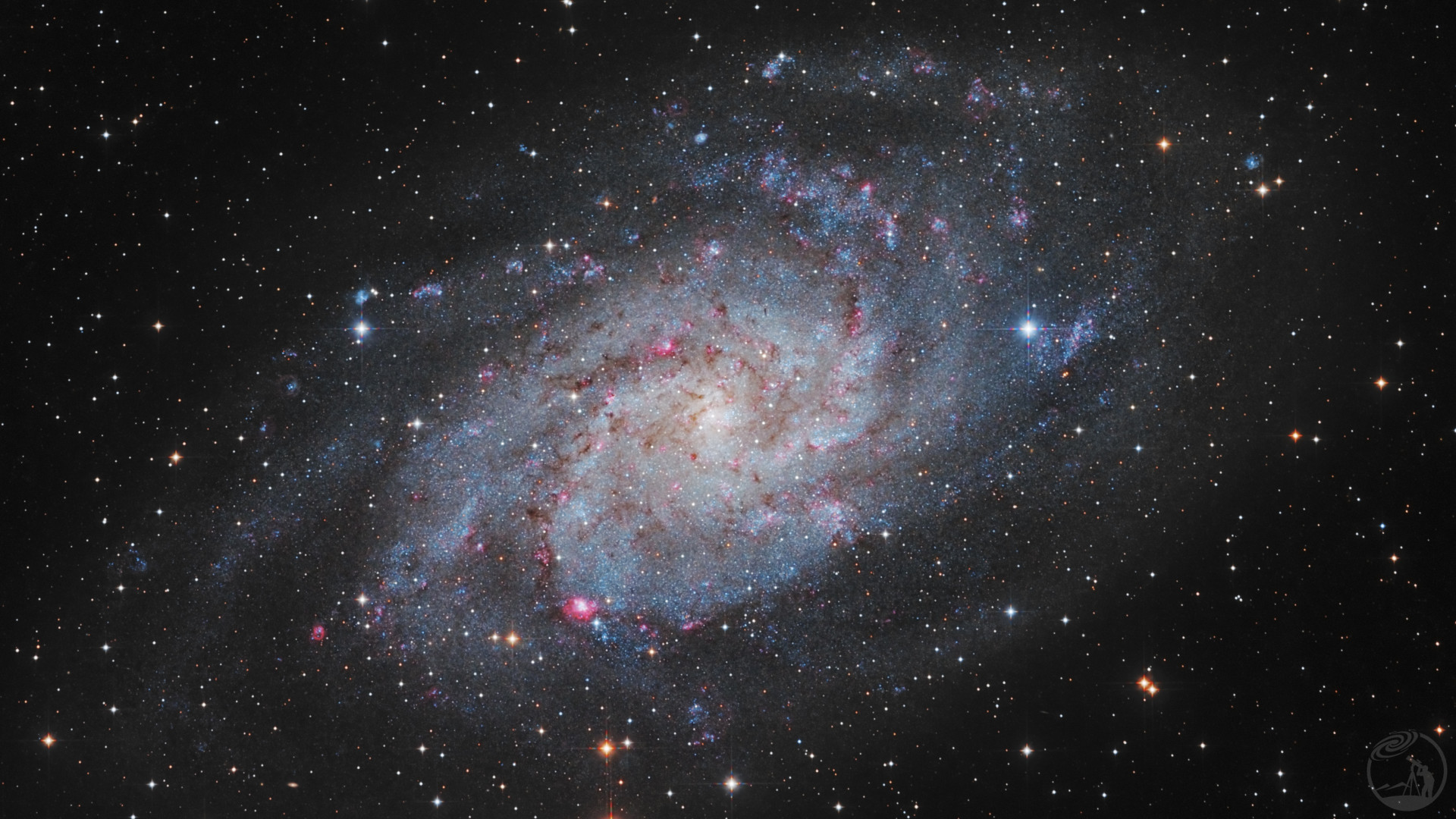 M33