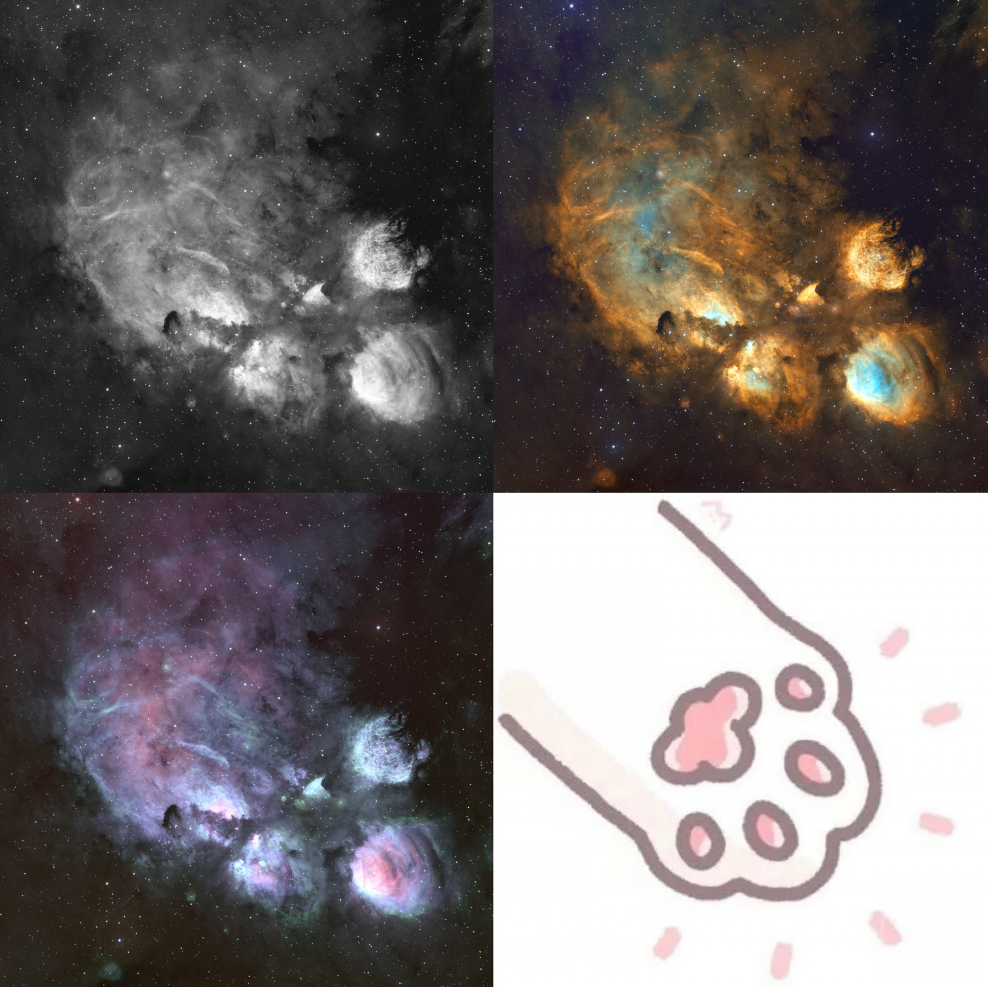 NGC6334猫爪星云🐱